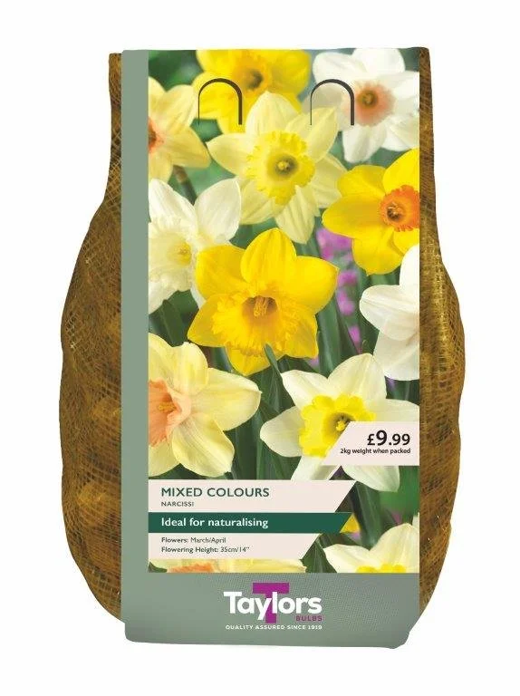 2kg Narcissus Mixed Colours 12-14