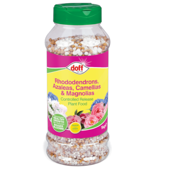 Rhododendron, Azaleas, Camellias & Magnolias - 1kg Slow Release Plant Food