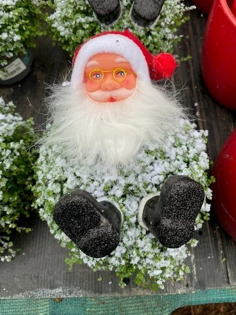 Santa Red snow.jpg