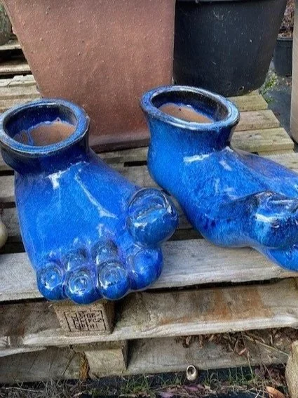 Blue+foot+pair.jpg
