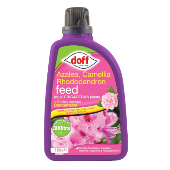 azalea.png