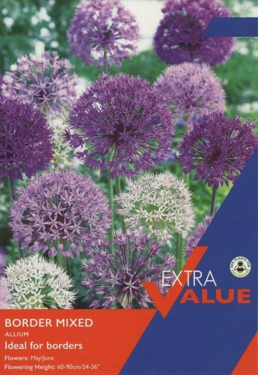 12 Allium Border Mix 10-12