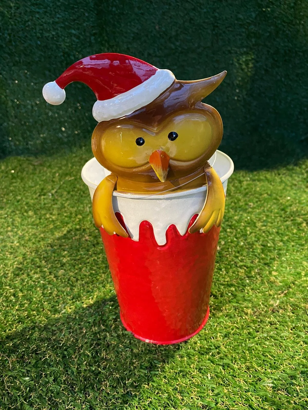 f405c161-d195-4997-af38-0a72f51505ac (1).JPEG