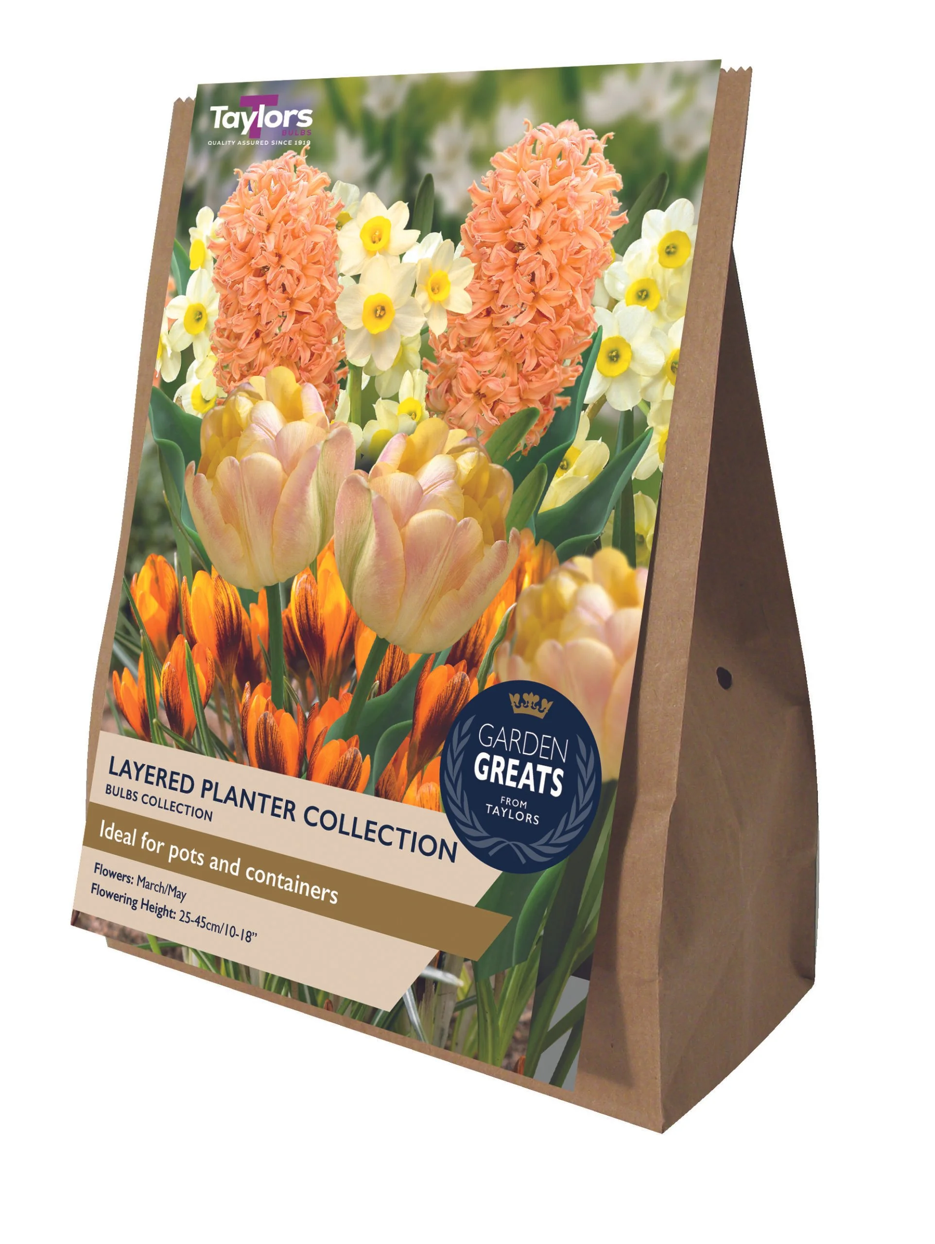 Layered Planter Bulb Collection