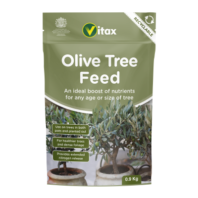 Olive tree feed.png