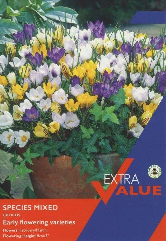 Species-Crocus-Mix.jpg