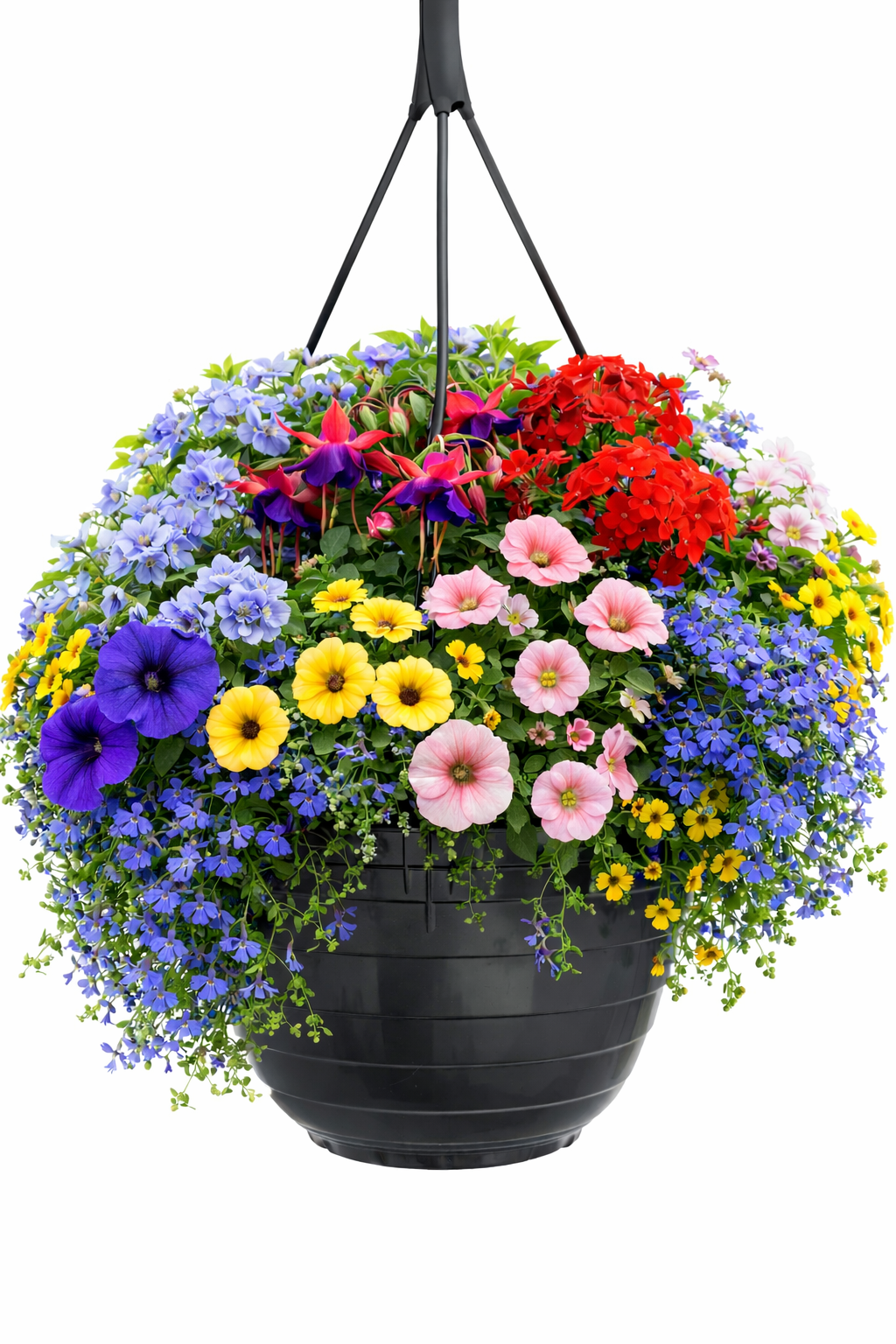 ChatGPT Image Mar 13, 2026, 11_27_09 AM.png