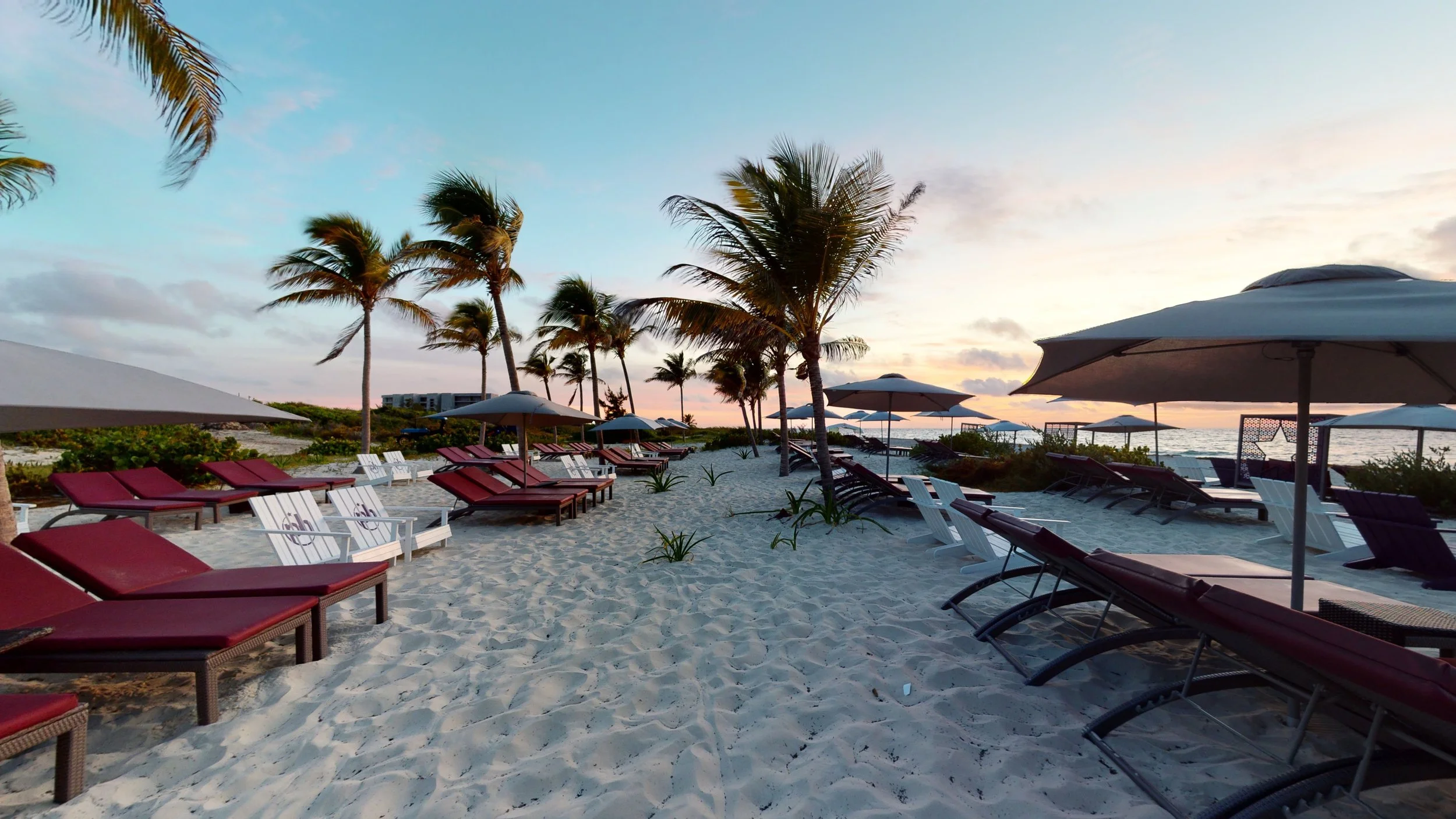 When Should You Budget for Your Honeymoon? (Hint: Earlier Than You Think)