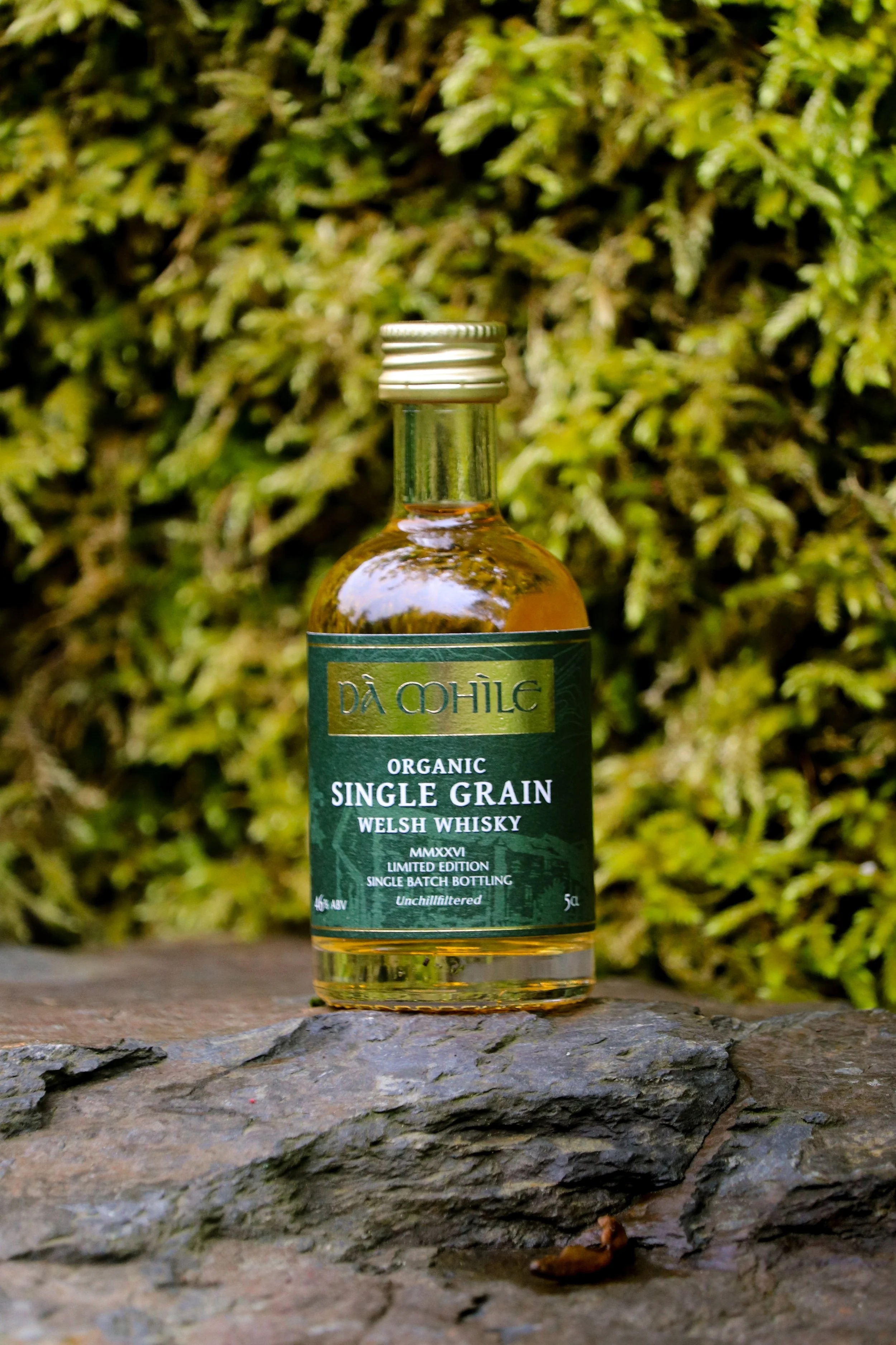 KC-Single-Grain-Full-2026-12.jpg