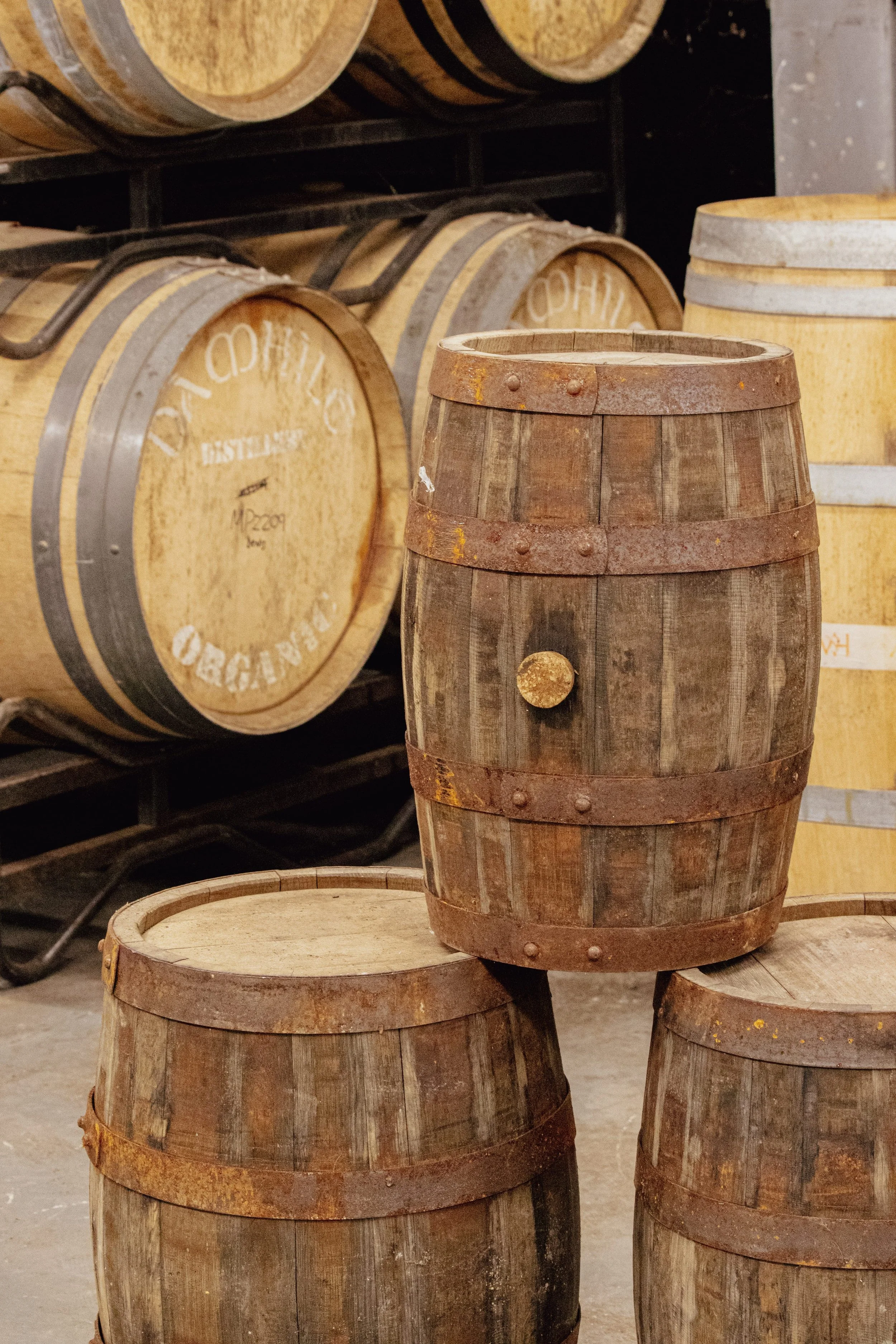 Mini whisky cask surrounded by maturation casks (Copy)
