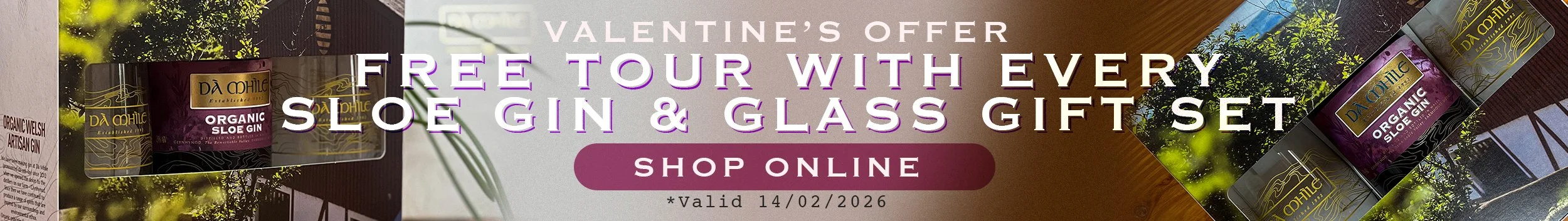 DaMhile Sloe Gin Gift set offer with Free Tasting Voucher