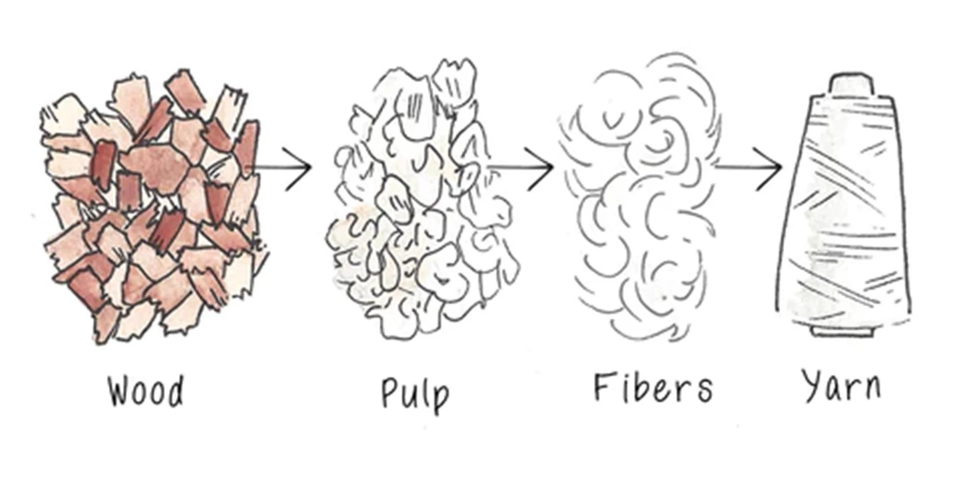 Illustration showing the process of making yarn from wood, pulp, fibers, and finally yarn.