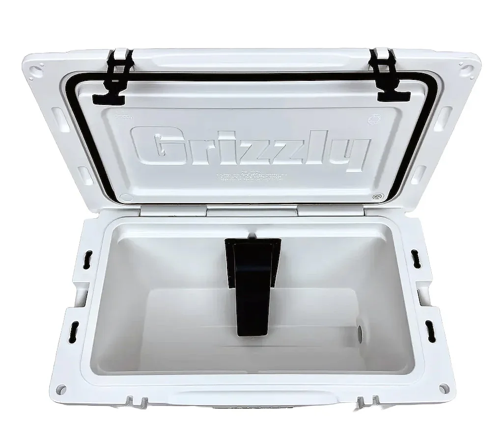 Viking-Extreme-Max-110V-Inside team cooler.webp