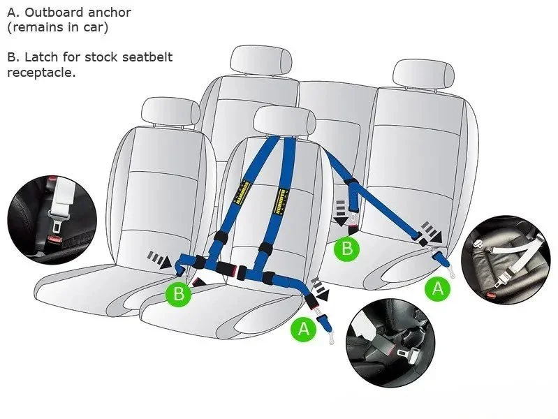 graphic Flexi pro 1.jpg