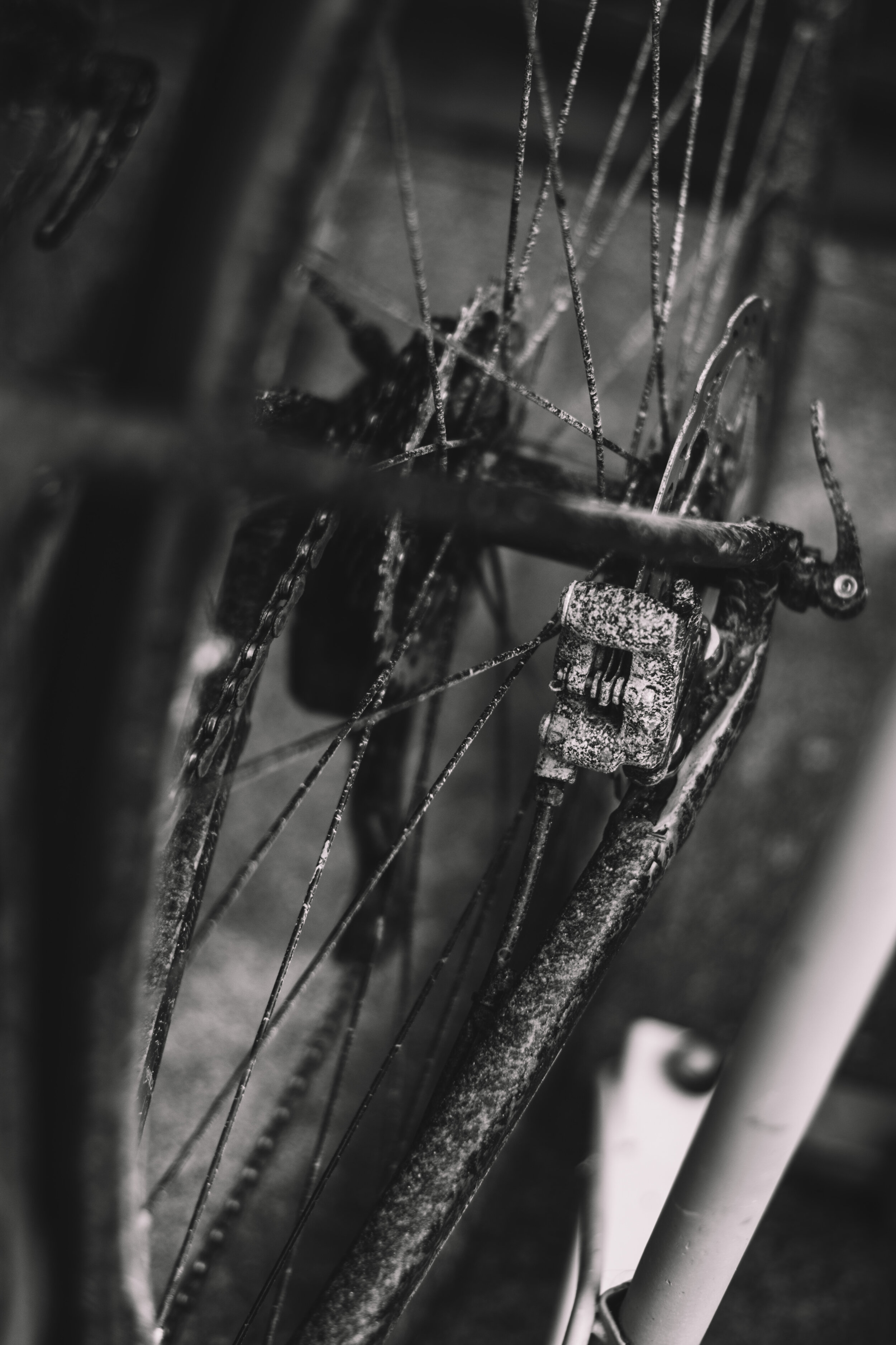 ADayInHell_20201024_1322_ThomasLauriks.jpg