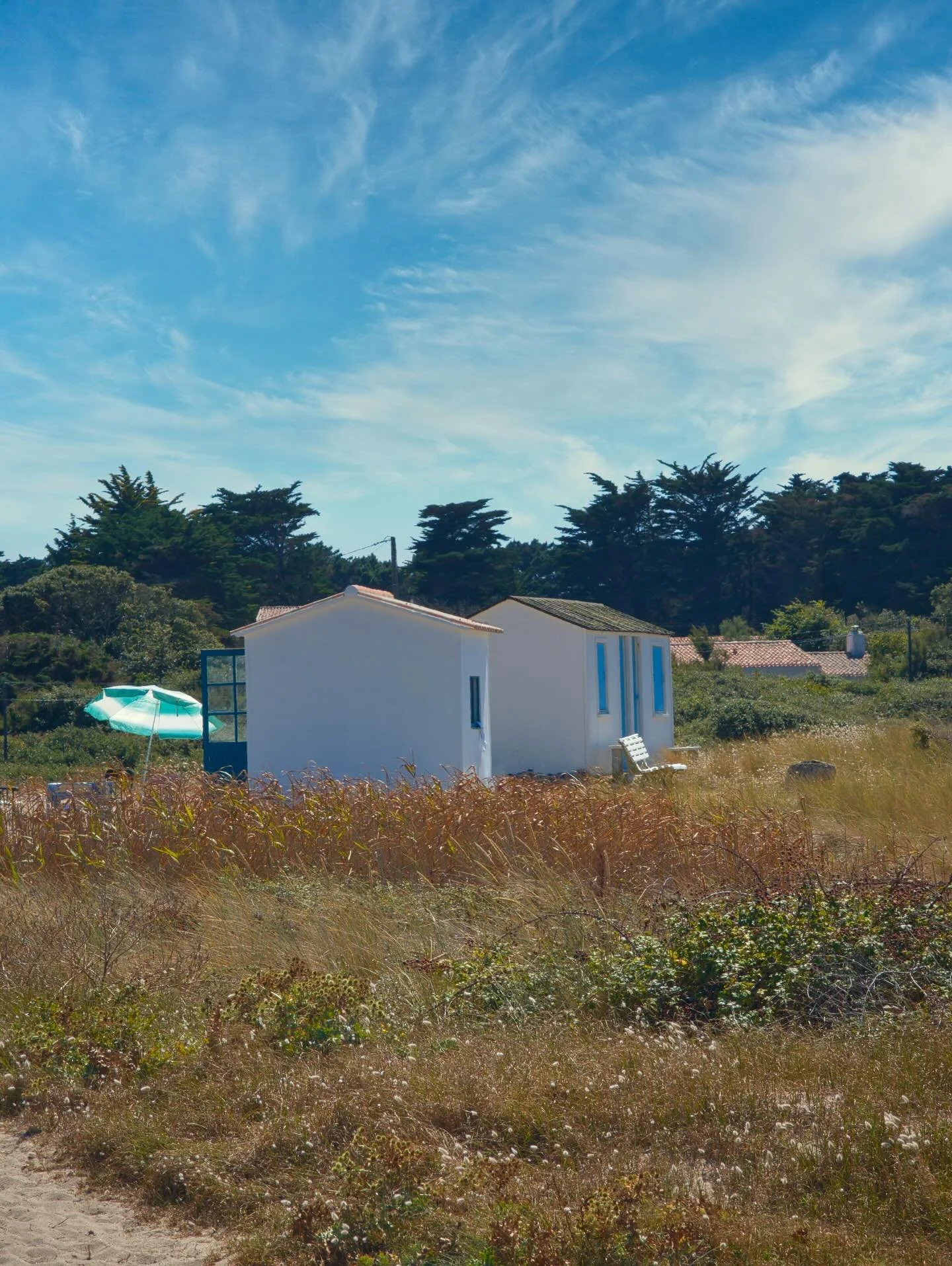 - The little cabin -

Google Pixel 9 Pro XL / Edited on Mac mini M4

#landscape #landscapephotography #coast #wildcoast #dune #sea #flora #seascape #wave #mer #photographie #paysage #cote #cotesauvage #fleur #tourisme #vendee #vendeetourisme #iledyeu
