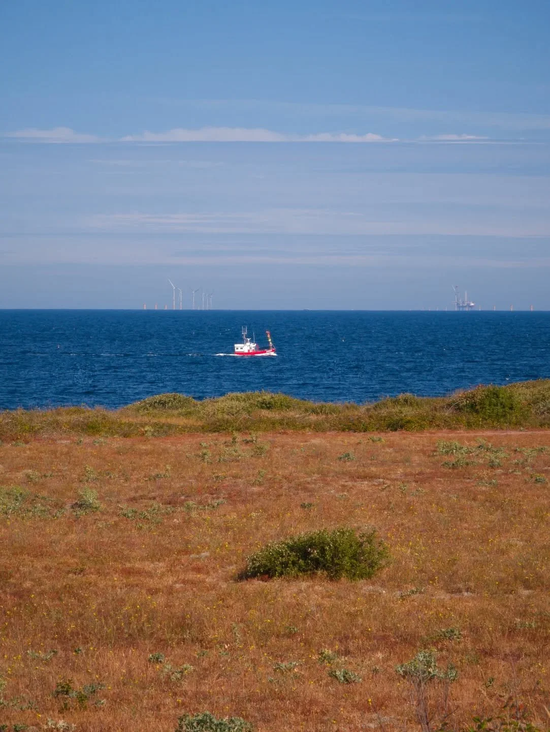- The boat II -

Google Pixel 9 Pro XL / Edited on Mac mini M4

#landscape #landscapephotography #coast #wildcoast #dune #sea #flora #seascape #wave #mer #photographie #paysage #cote #cotesauvage #fleur #tourisme #vendee #vendeetourisme #iledyeu #goo