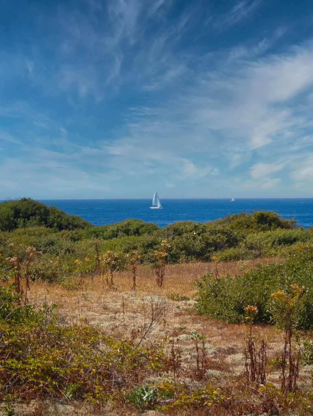 - The boat -

Google Pixel 9 Pro XL / Edited on Mac mini M4

#landscape #landscapephotography #coast #wildcoast #dune #sea #flora #seascape #wave #mer #photographie #paysage #cote #cotesauvage #fleur #tourisme #vendee #vendeetourisme #iledyeu #google