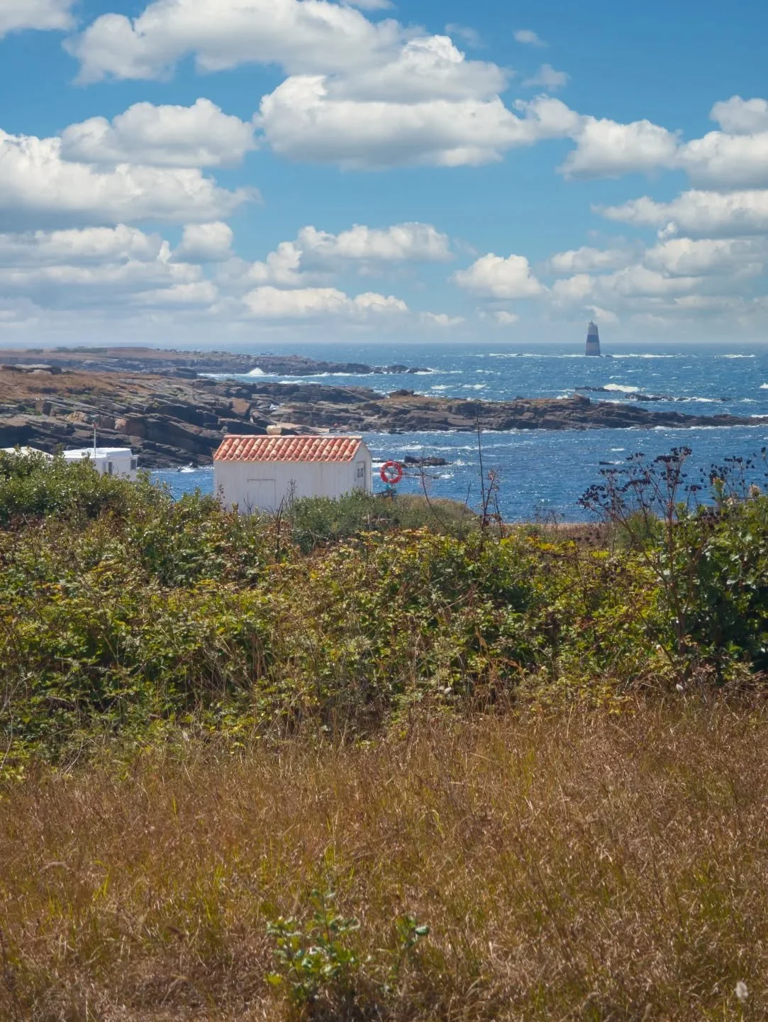 - Vue sur les cabanes des Broches et la Pointe du But-

Google Pixel 9 Pro XL / Edited on Mac mini M4

#landscape #landscapephotography #coast #wildcoast #dune #sea #flora #seascape #wave #mer #photographie #paysage #cote #cotesauvage #fleur #tourism