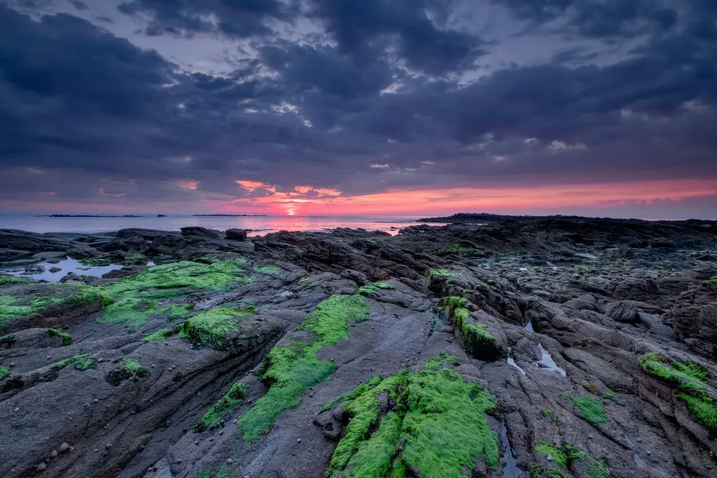 - Green -

Fuji XT-5 + XF 10-24 f/4 + @nisifrance V.7 + Nisi ND4 + Nisi GND reverse 0.9 / Edited on Mac mini M4

#landscape #landscapephotography #coast #wildcoast #storm #sea #sunset #sunsetlovers #sunsets #sunsetphotography #seascape #wave #mer #ph