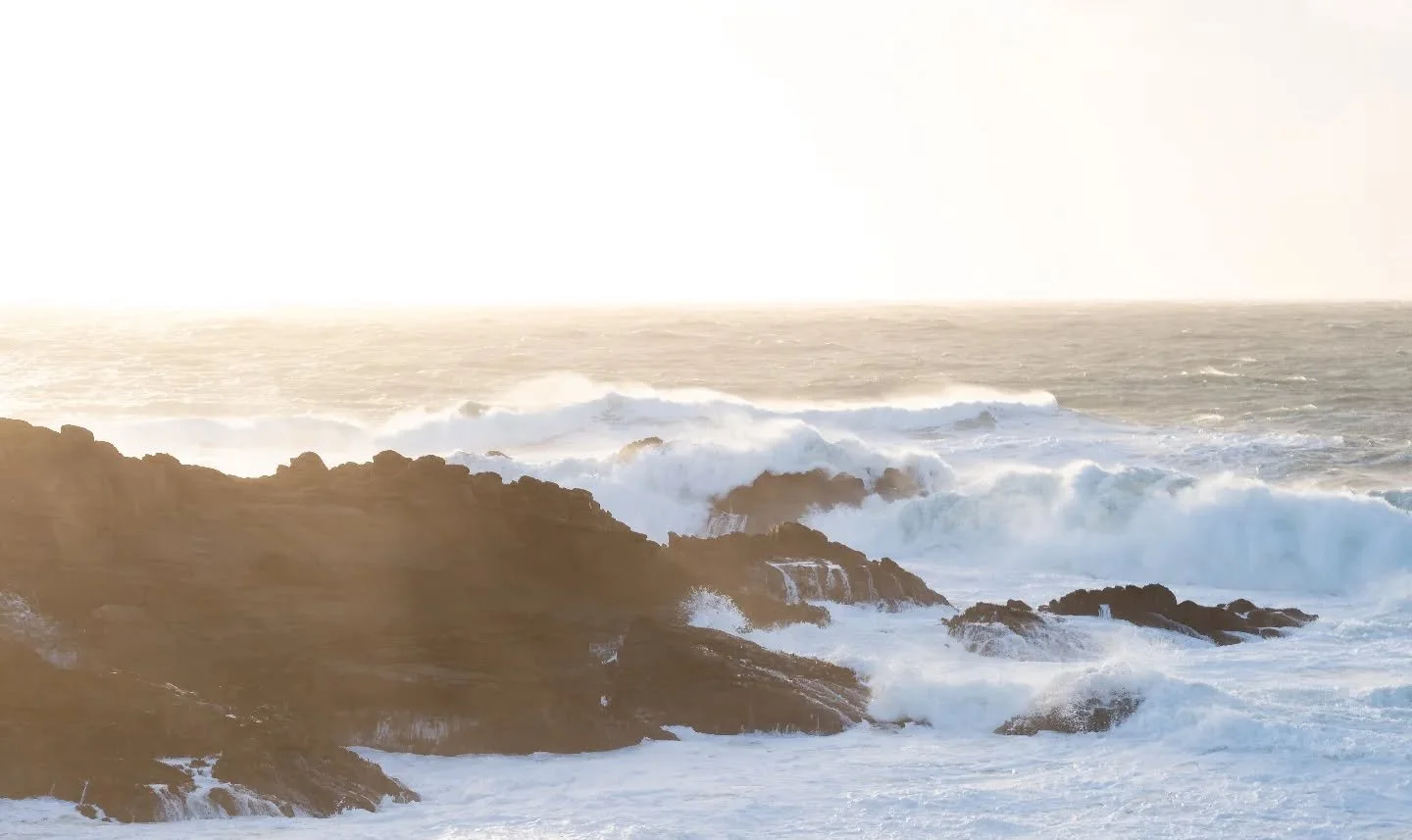 - Big wave at sunset II -

Fuji XT-3 + XF 50-140 f/2.8 + @nisifrance V.7 + Nisi ND4 + Nisi GND reverse 0.9 / Edited on Mac mini M4

#landscape #landscapephotography #coast #wildcoast #storm #sea #sunset #sunsetlovers #sunsets #sunsetphotography #seas