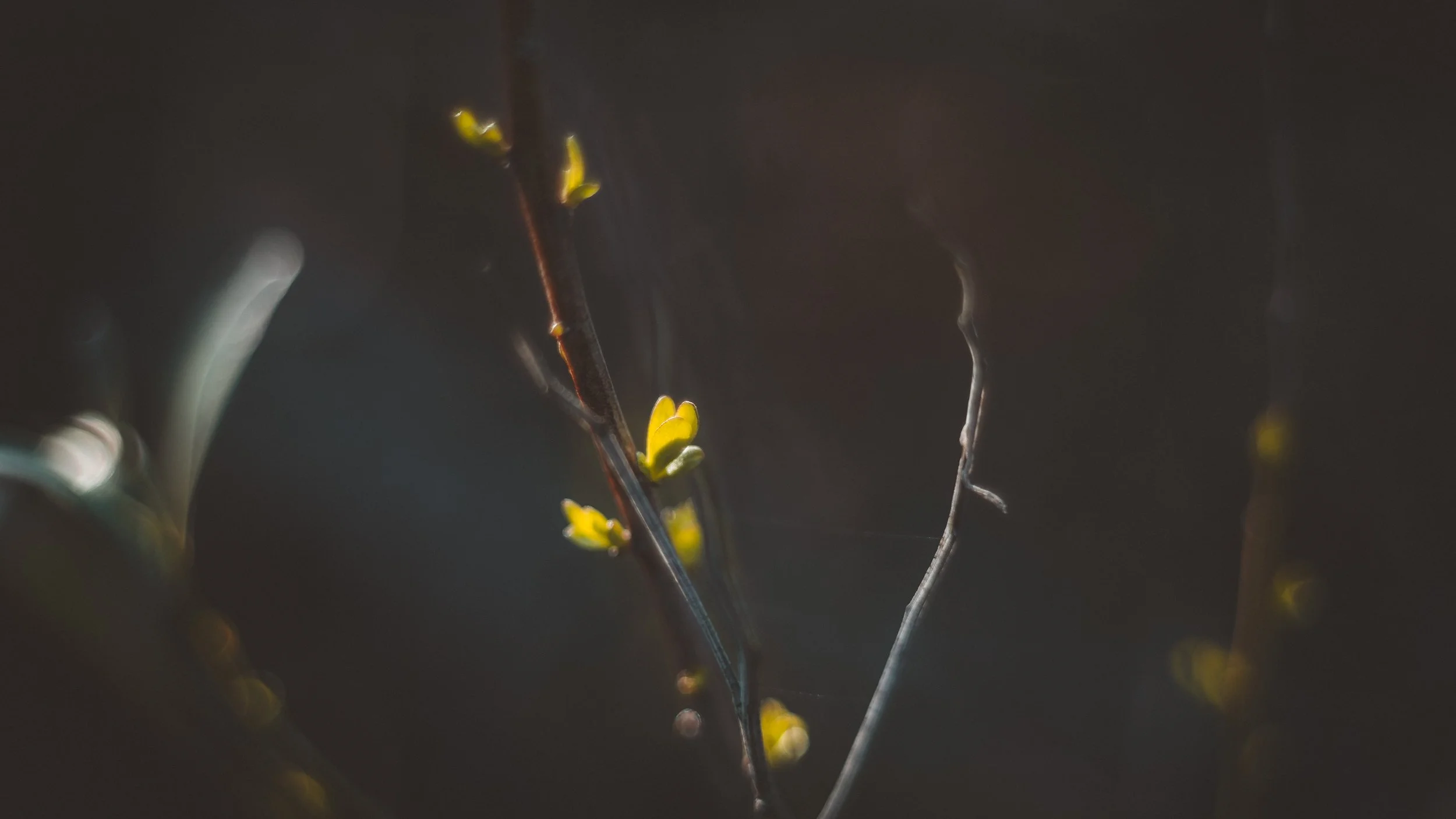 DSCF9873.jpg