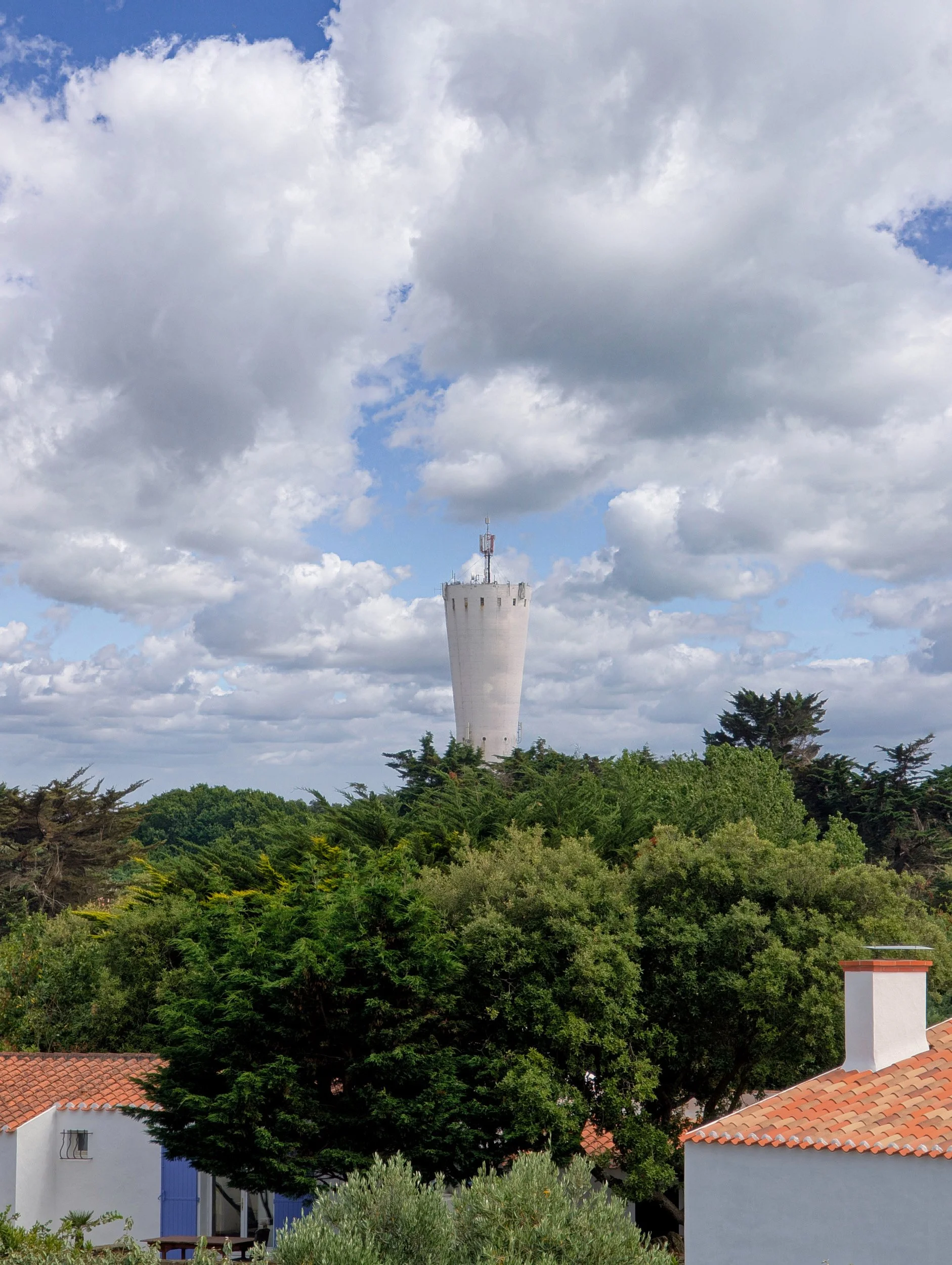 JPEG image-4991-98E0-1D-0.jpeg