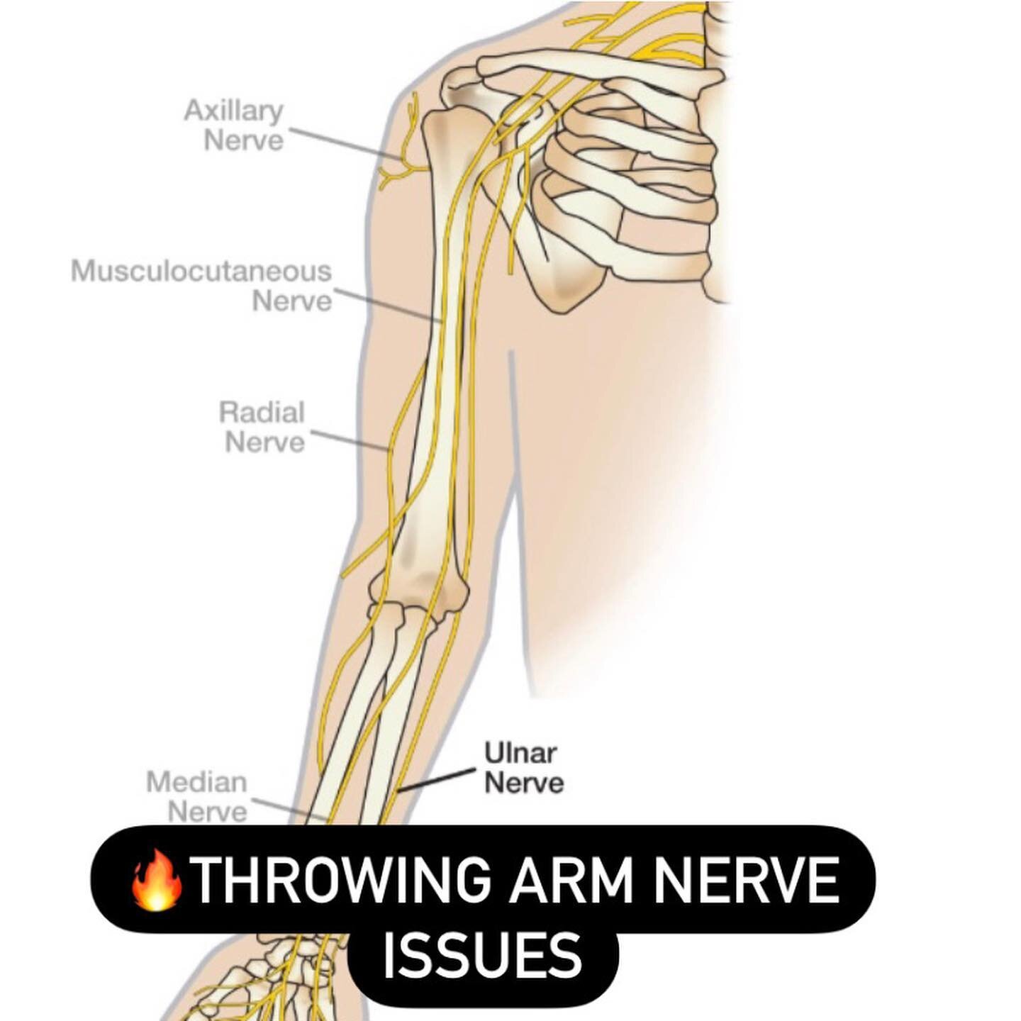 🔥 There are a TON of different Nerve issues that can arise in the throwing arm

Here are the most common issues we see:

✅ Brachial Plexus Traction (Low Sitting Shoulder)

✅ Compression at Scalenes/Pec Minor

✅ Ulnar N: Arcade Of Struthers (Triceps 