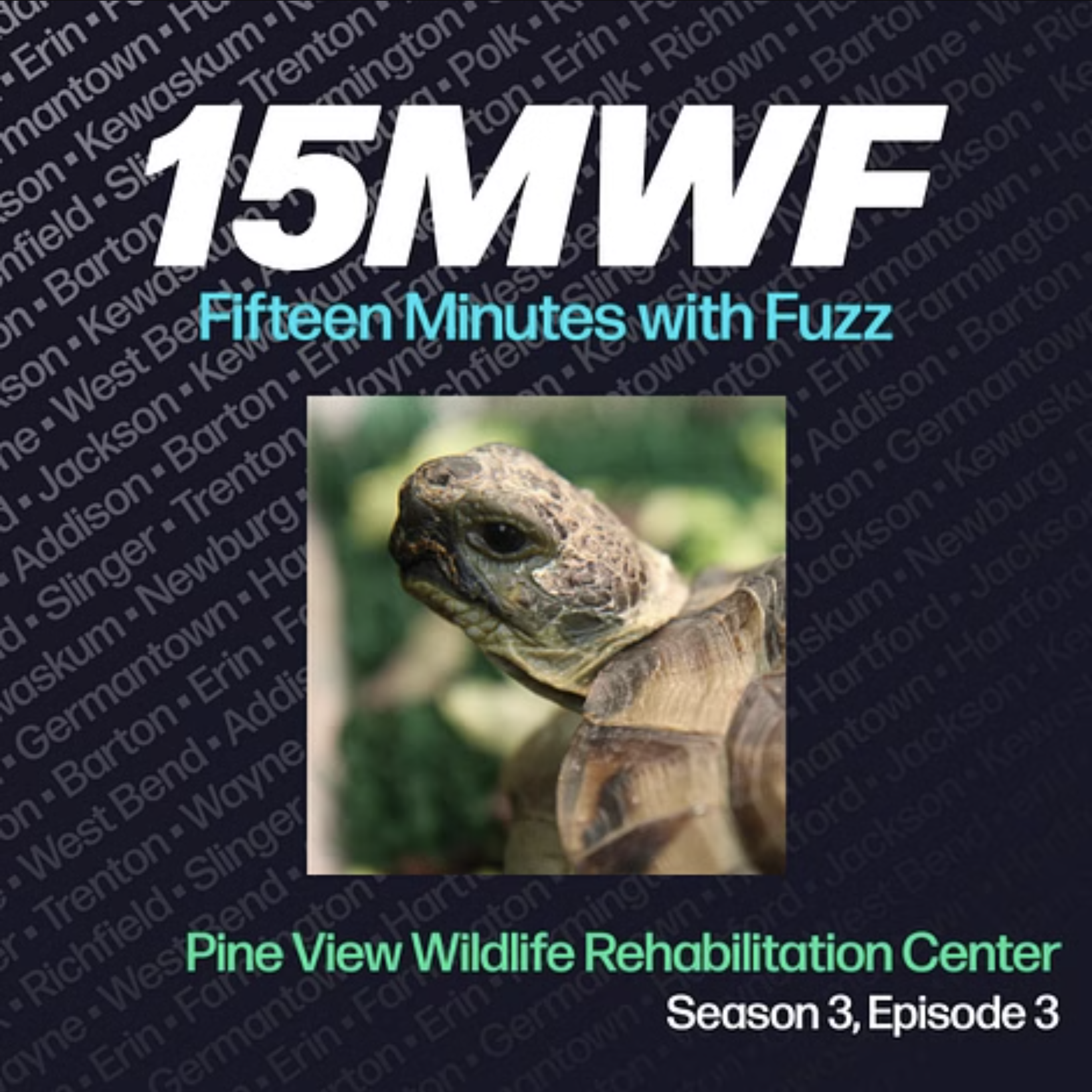 Podcast: Fifteen Minutes with Fuzz