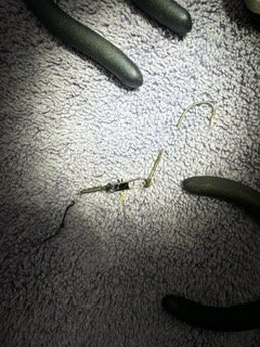 image1 (3).jpeg