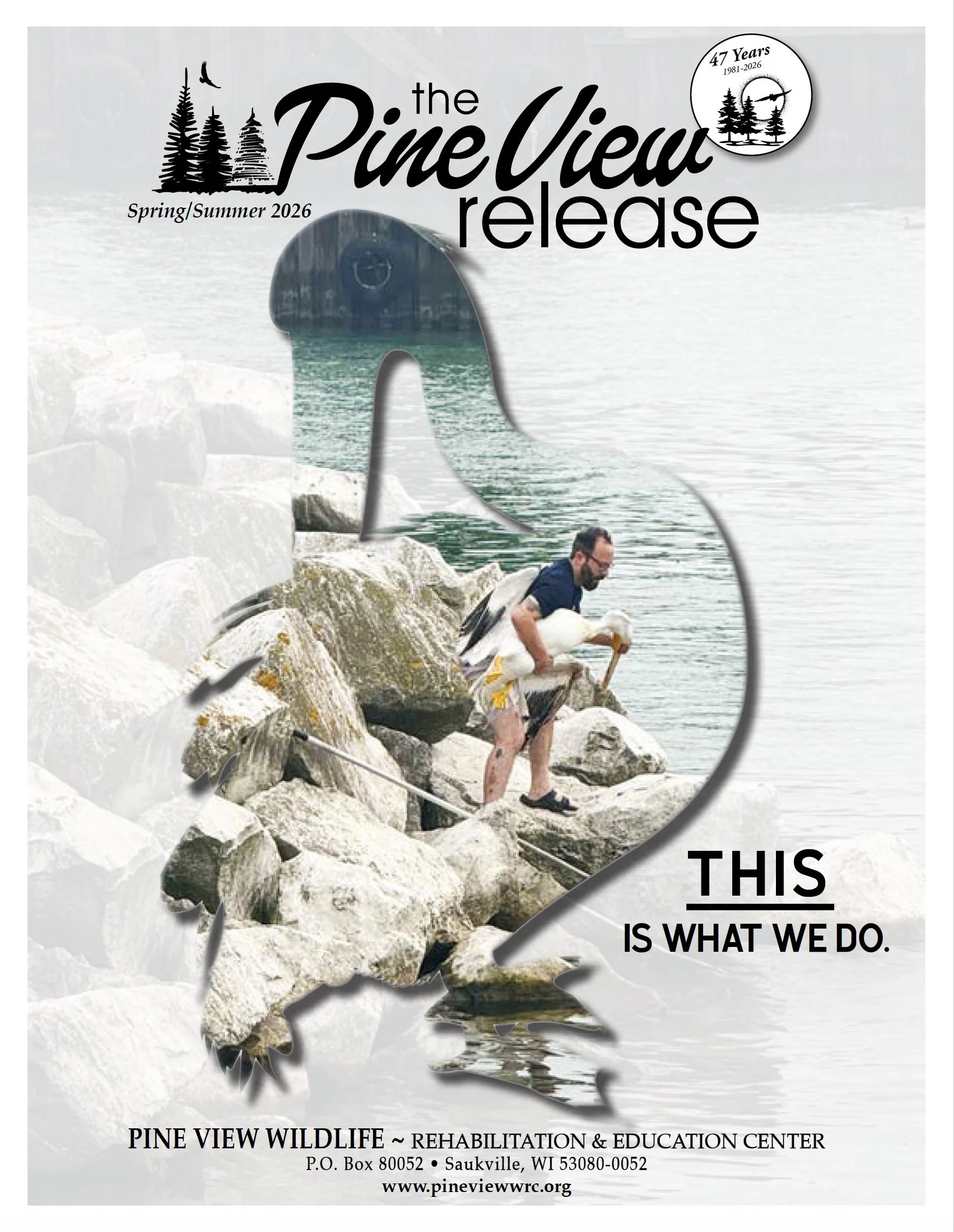 The Pine View Release - Spring/Summer 2026