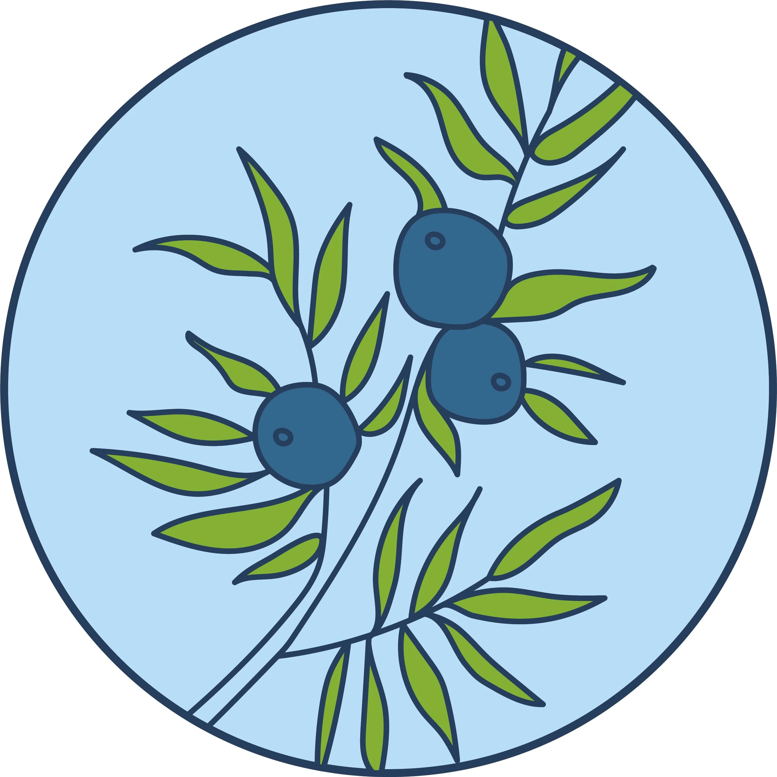 Logo Icon_Colour.jpg