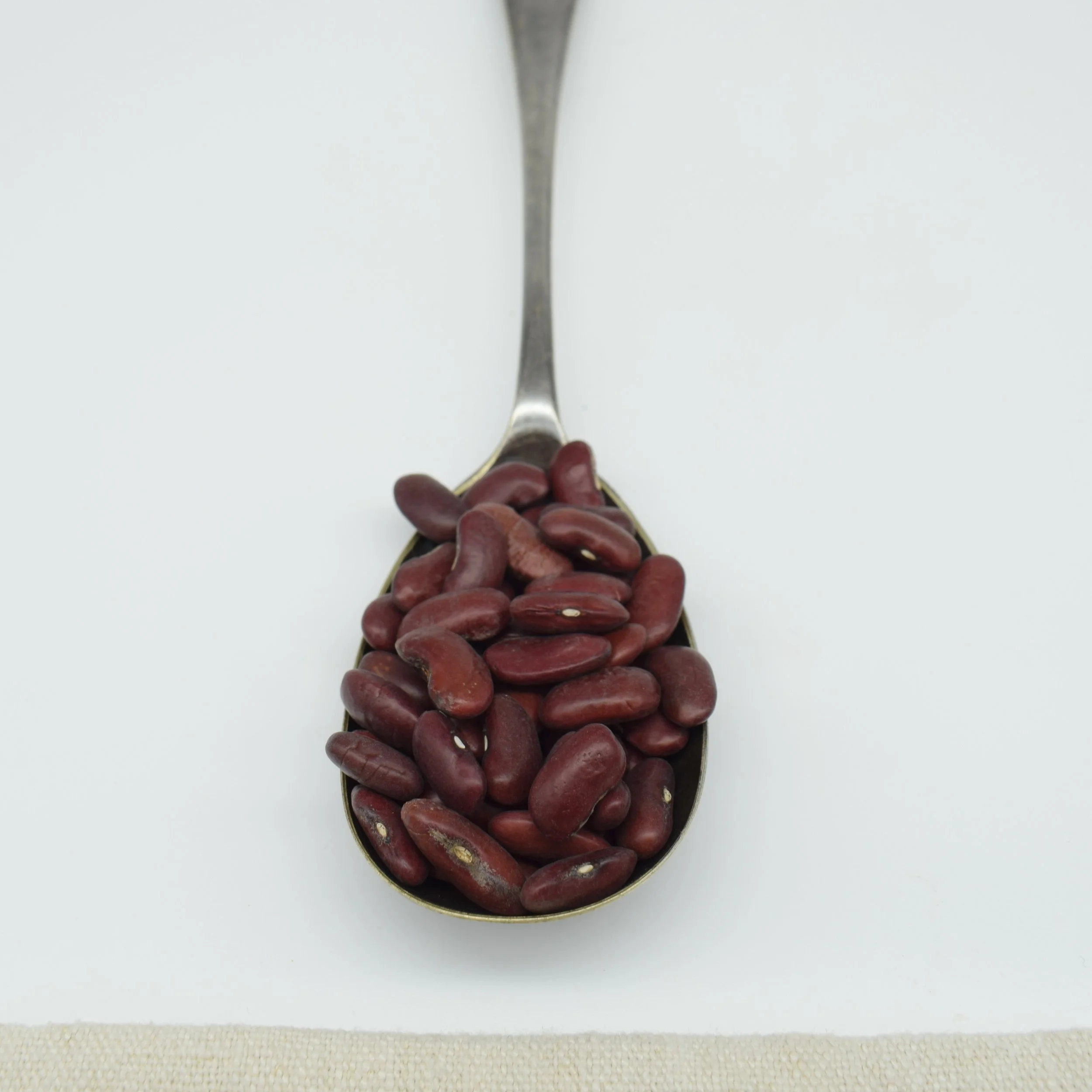 kidney+beans.png