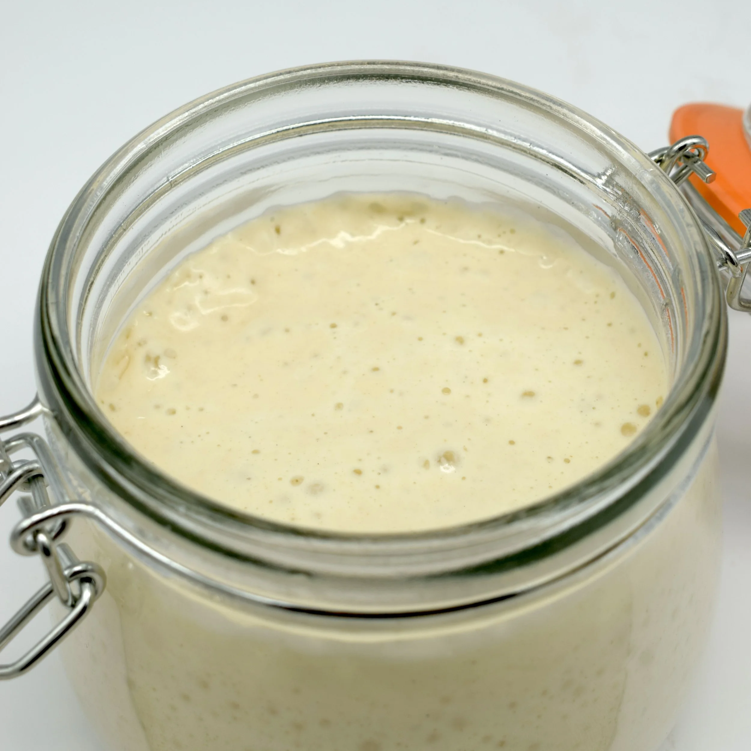 bubbley+sourdough+starter.png