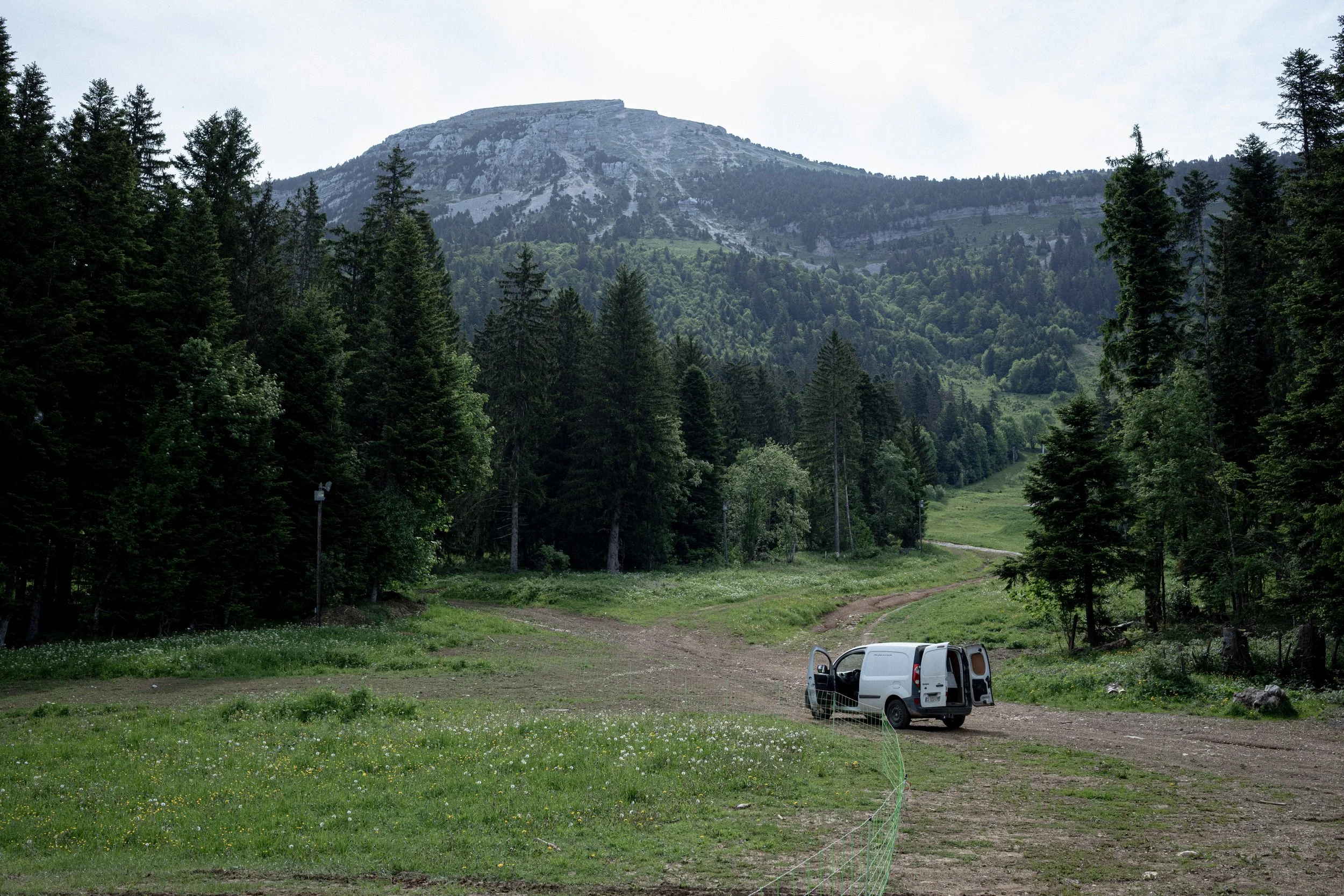 HL_ACHASTAGNER_TRANSHUMANCE_CHARTREUSE_2025_030.jpg