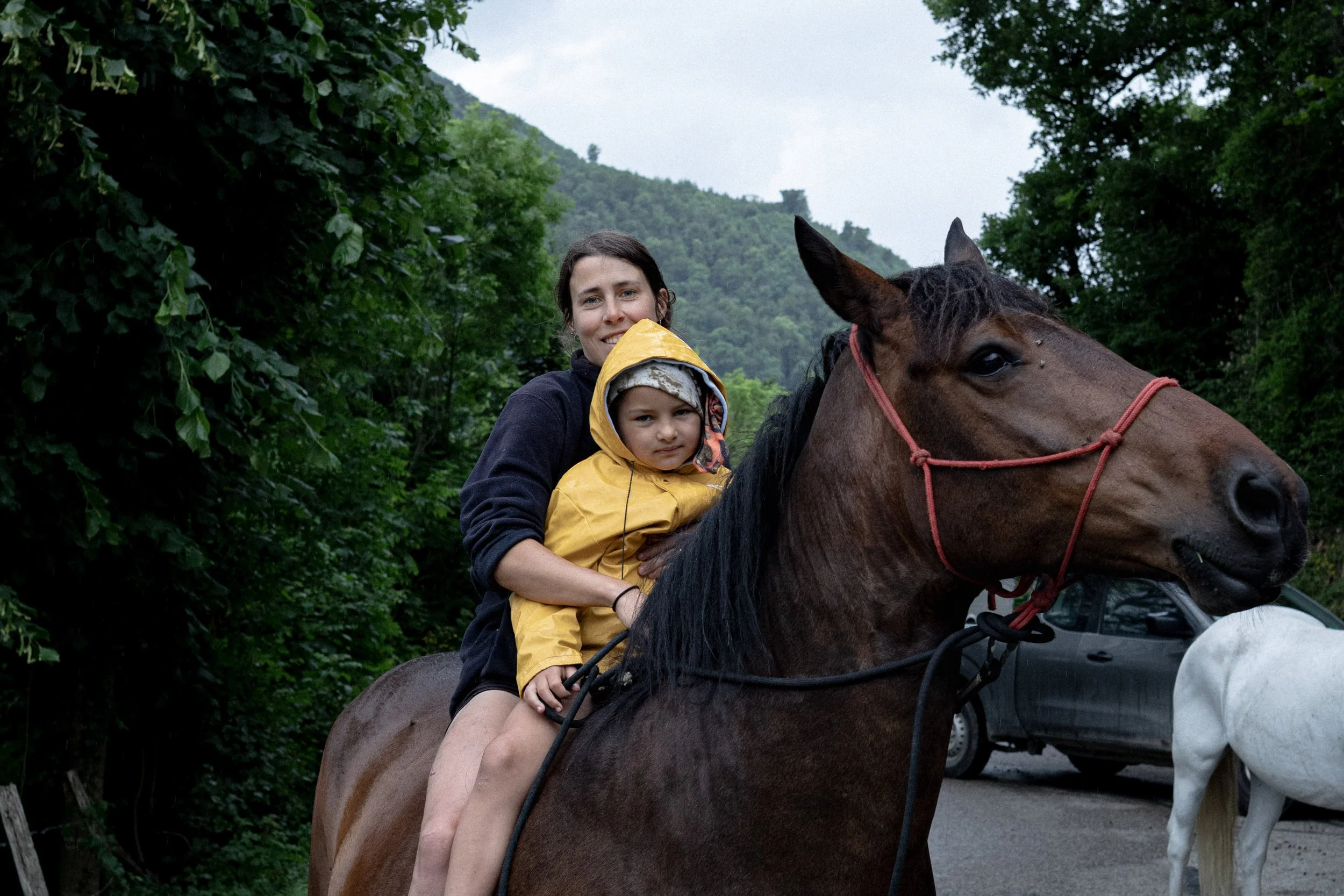 HL_ACHASTAGNER_TRANSHUMANCE_CHARTREUSE_2025_024.jpg