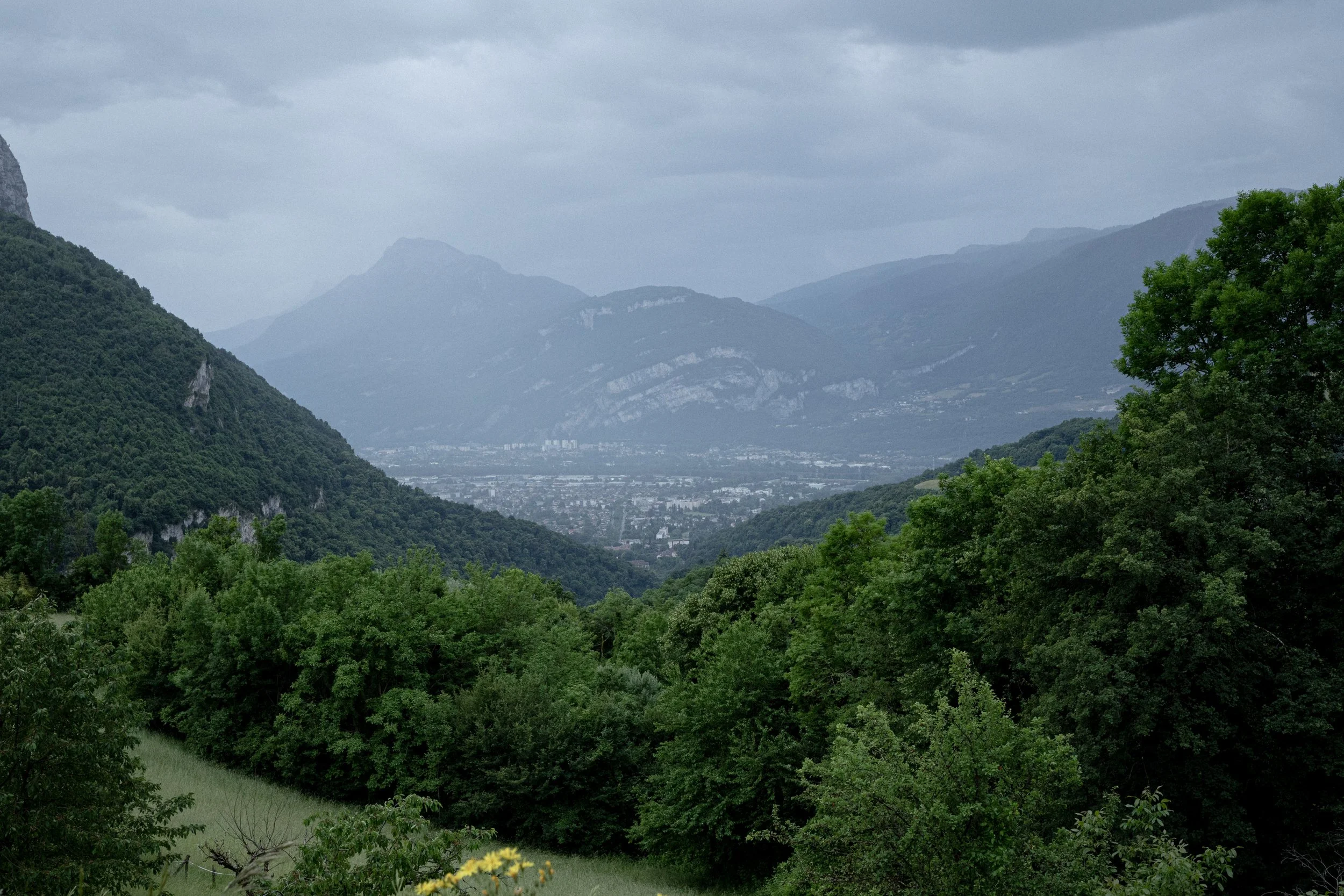 HL_ACHASTAGNER_TRANSHUMANCE_CHARTREUSE_2025_035.jpg
