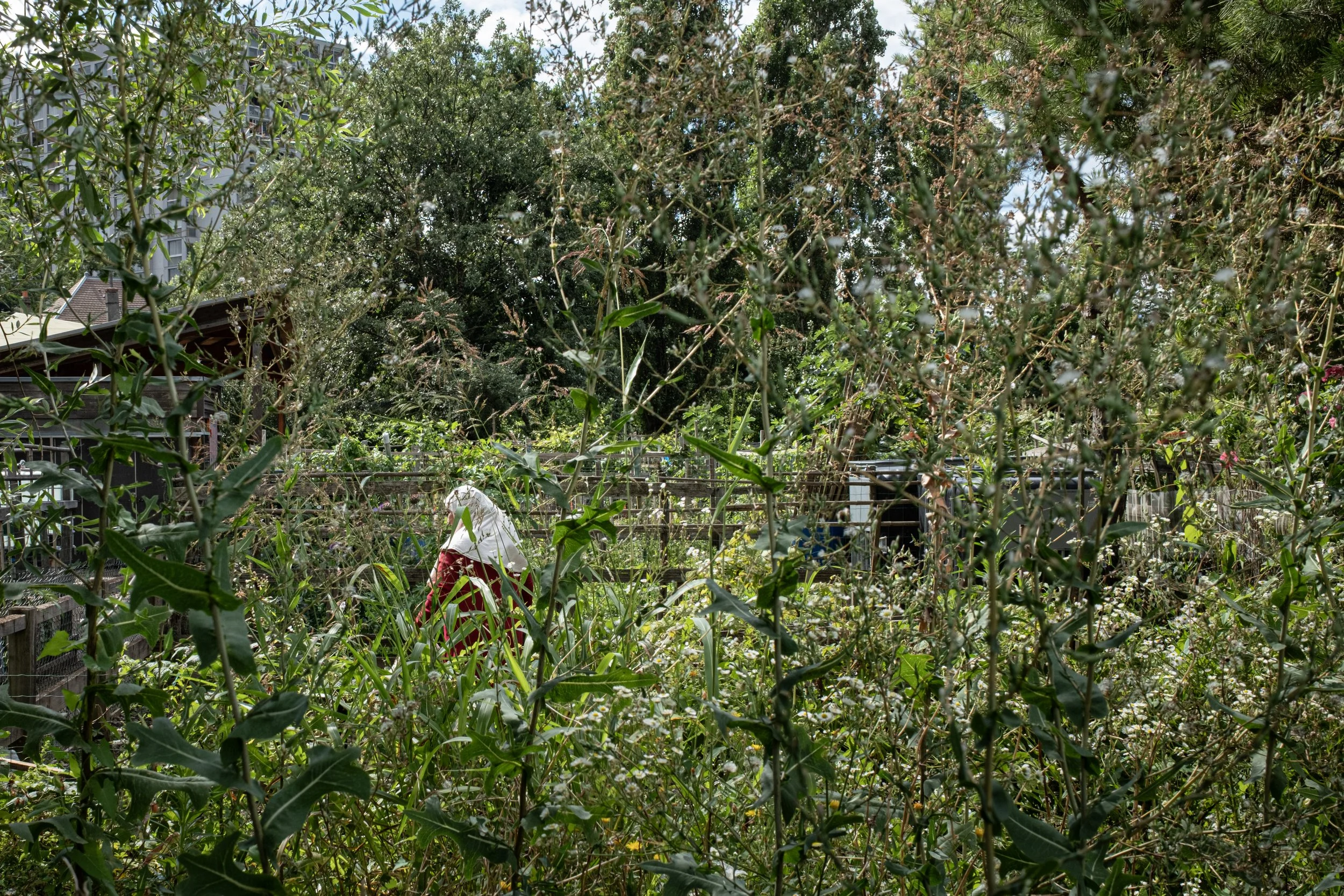 HL_ACHASTAGNER_JARDINS_FAMILIAUX_SERIE1_010.jpg