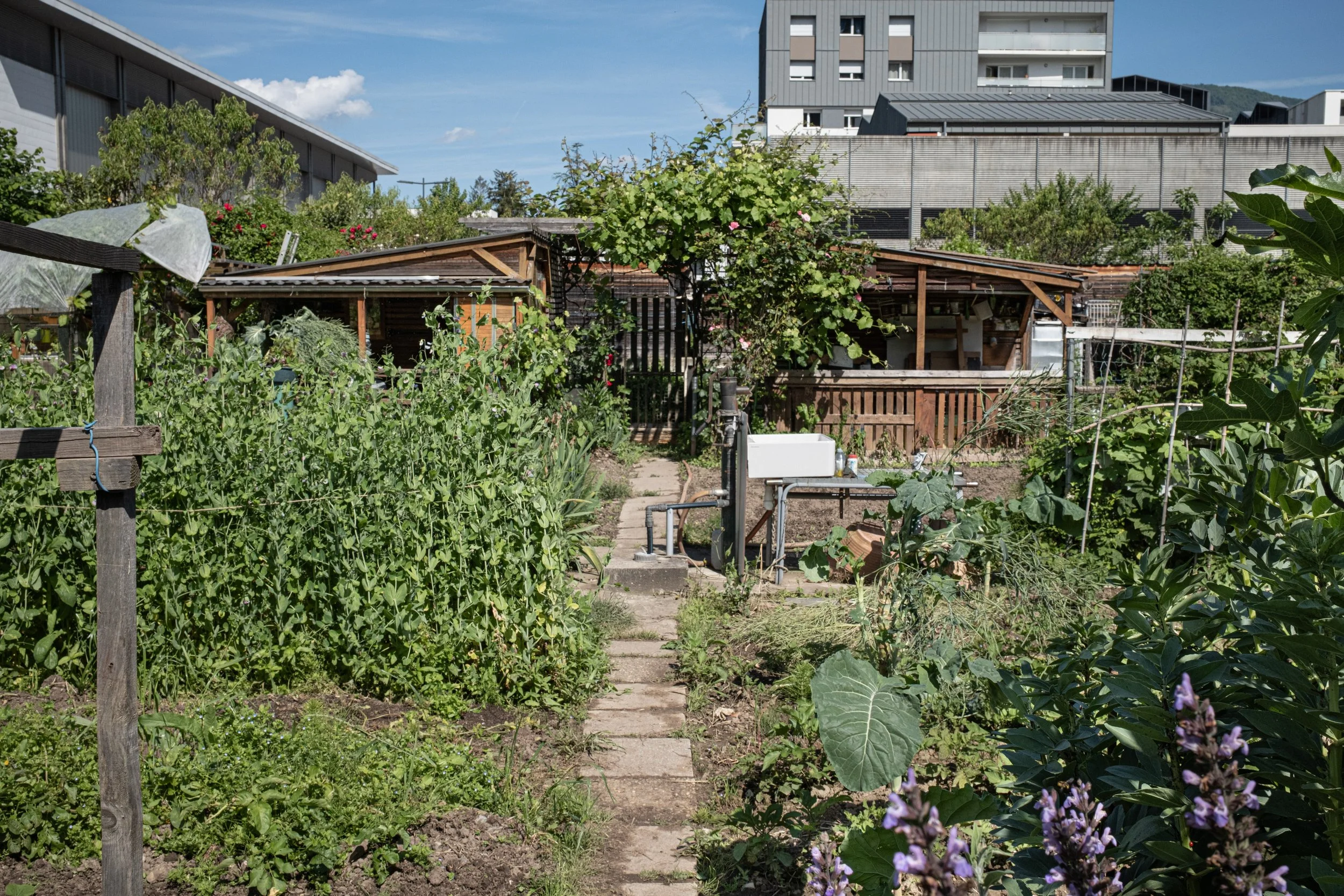 HL_ACHASTAGNER_JARDINS_FAMILIAUX_SERIE1_007.jpg
