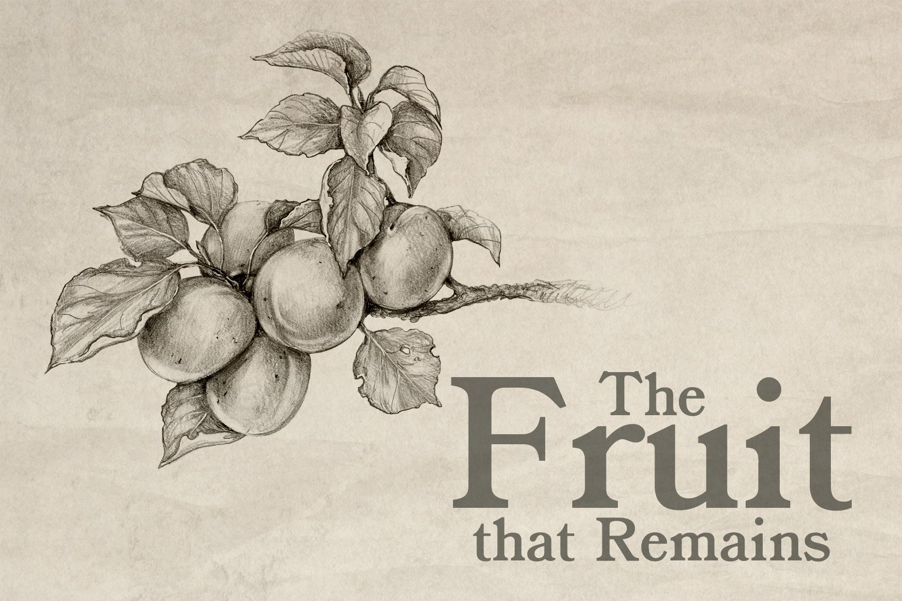 October 2022 Newsletter