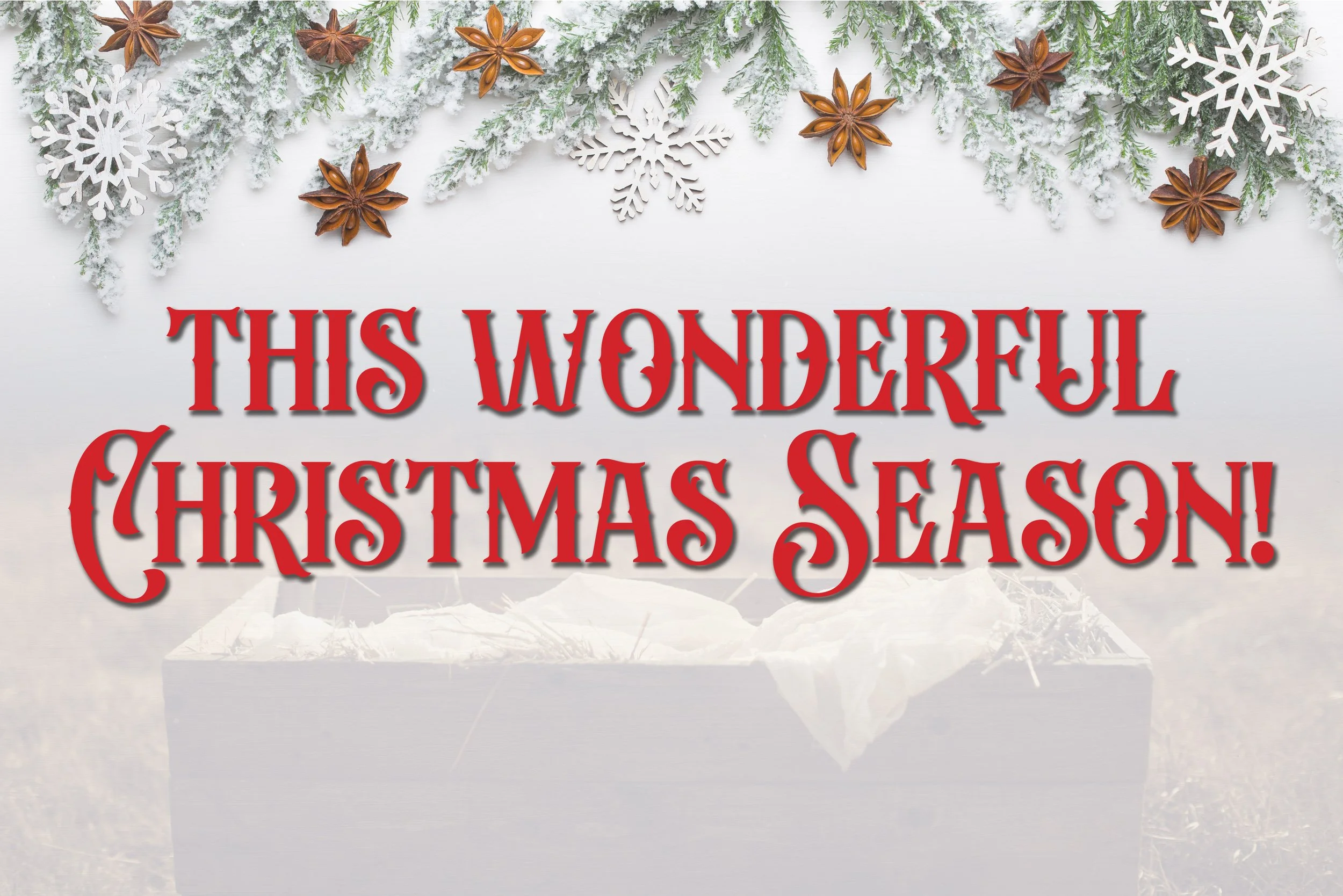 This Wonderful Christmas Season