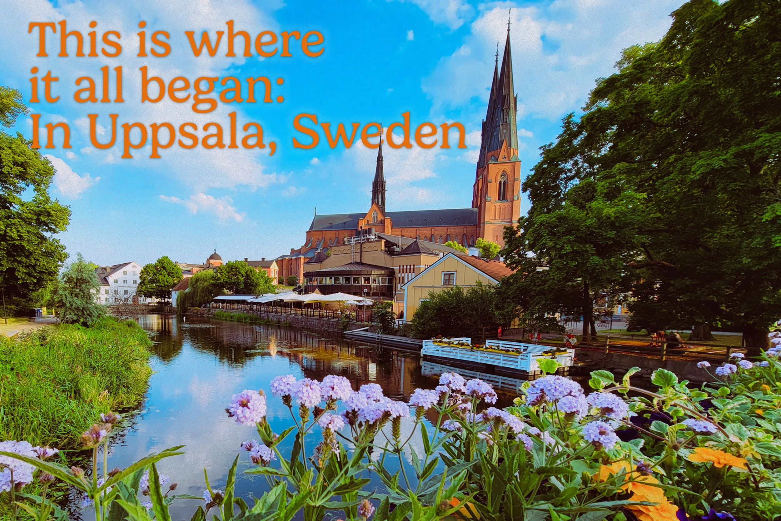 THIS IS WHERE IT ALL BEGAN: IN UPPSALA, SWEDEN.