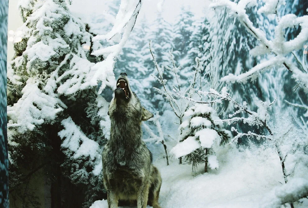 Sarajevo 2009 - 2 av 20.jpg