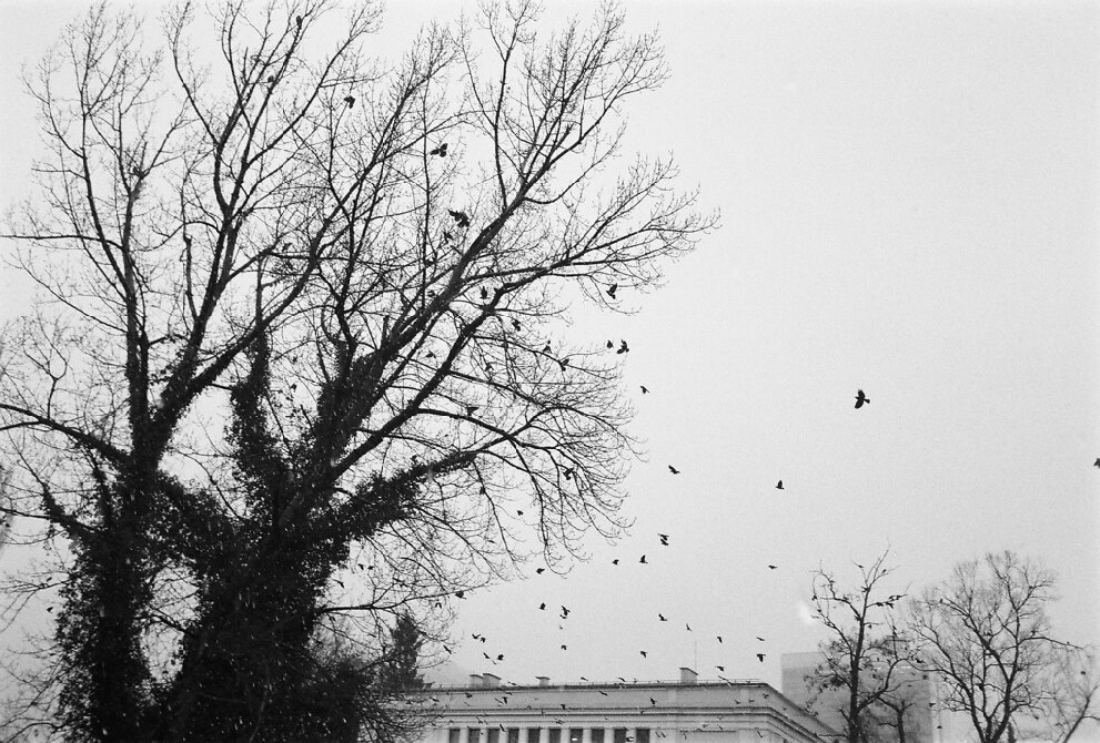 Sarajevo 2009 - 12 av 20.jpg