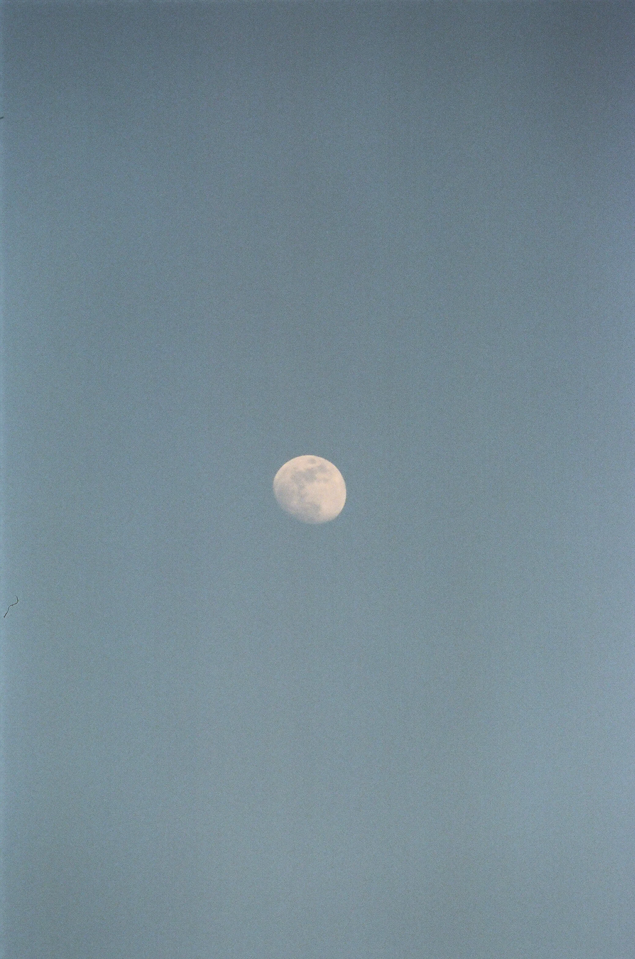 2018 (diary) - 6 of 27.jpeg