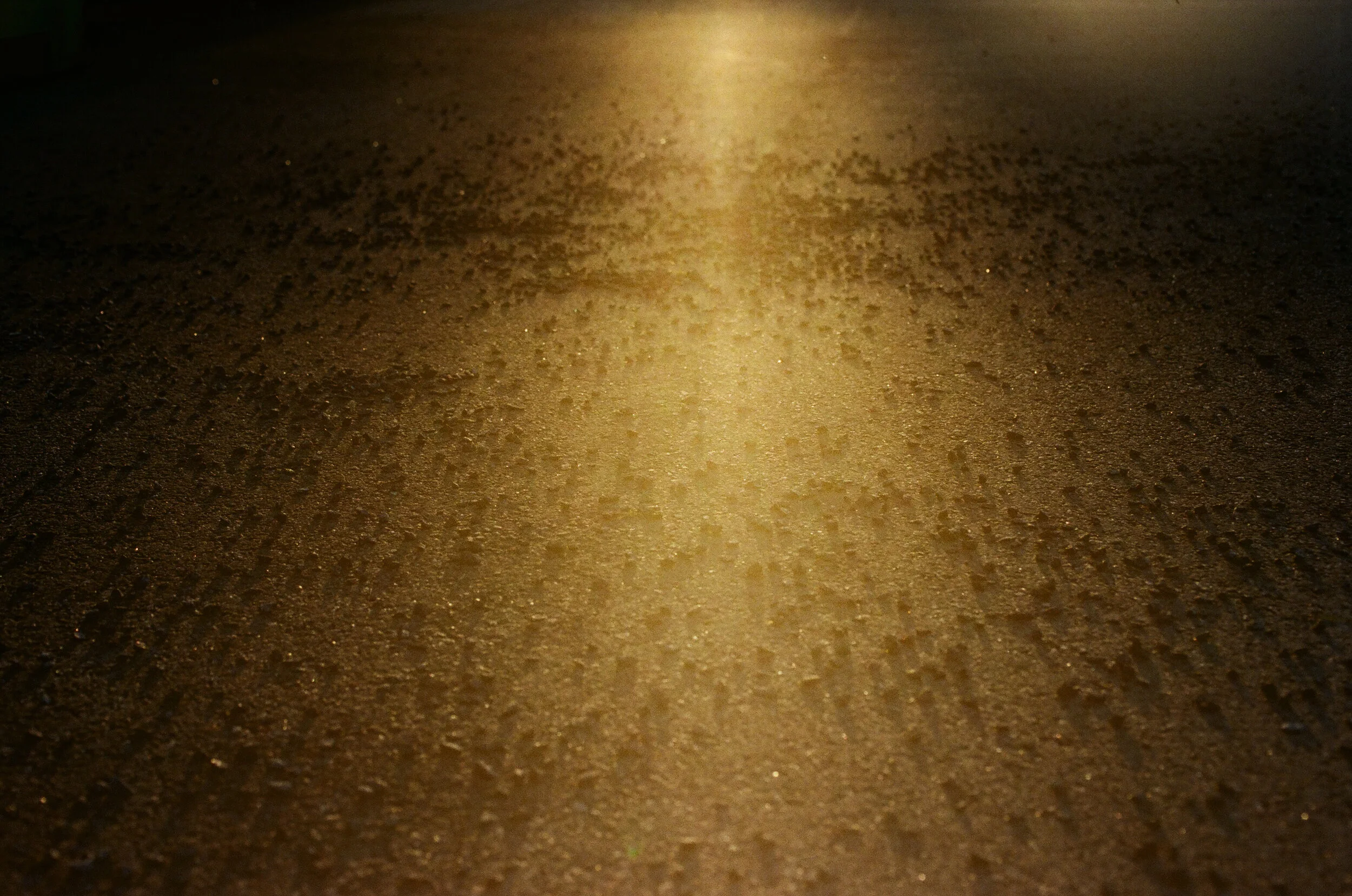 2018 (diary) - 12 of 27.jpeg