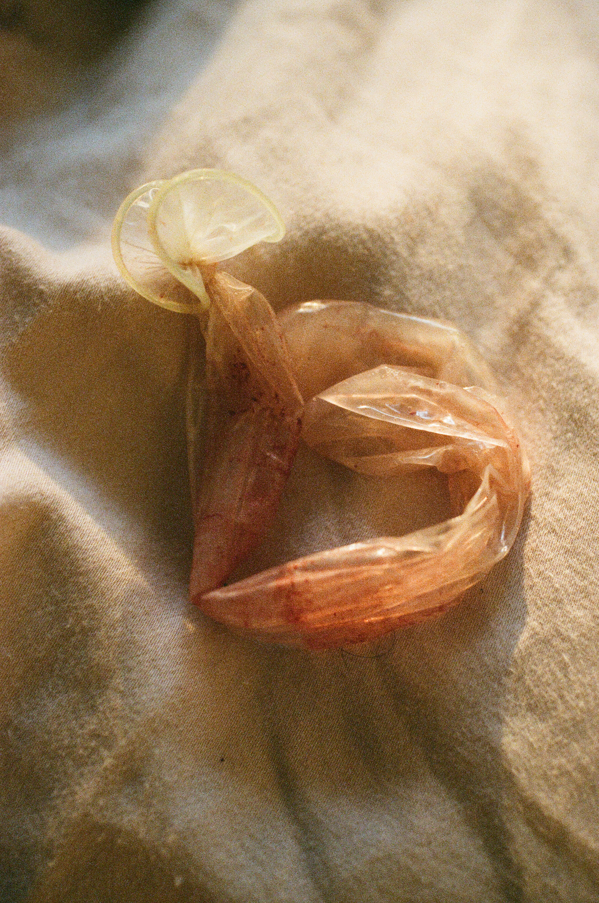 2018 (diary) - 13 of 27.jpeg