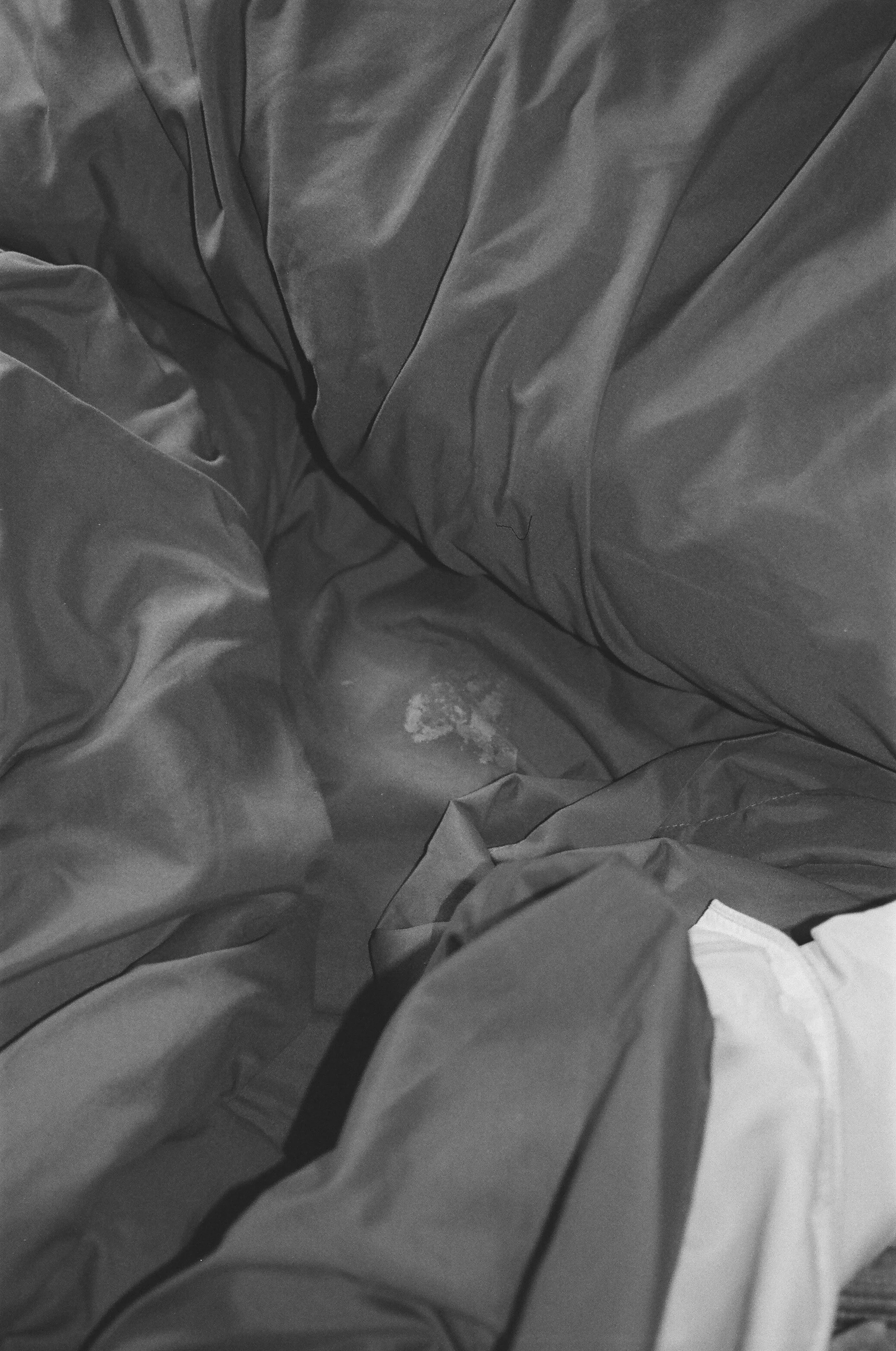 diary 2017 - 15 of 32.jpeg