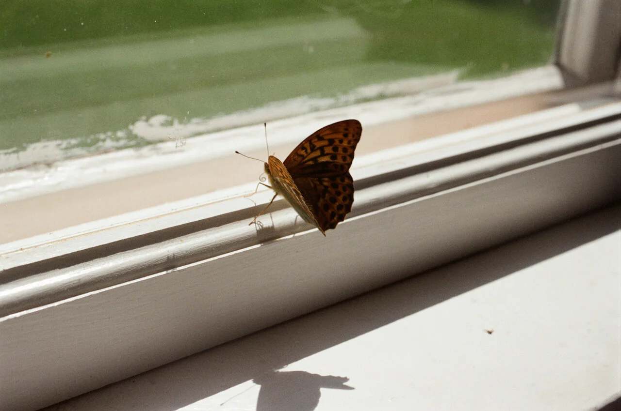 diary 2014 - 4 of 5.jpeg