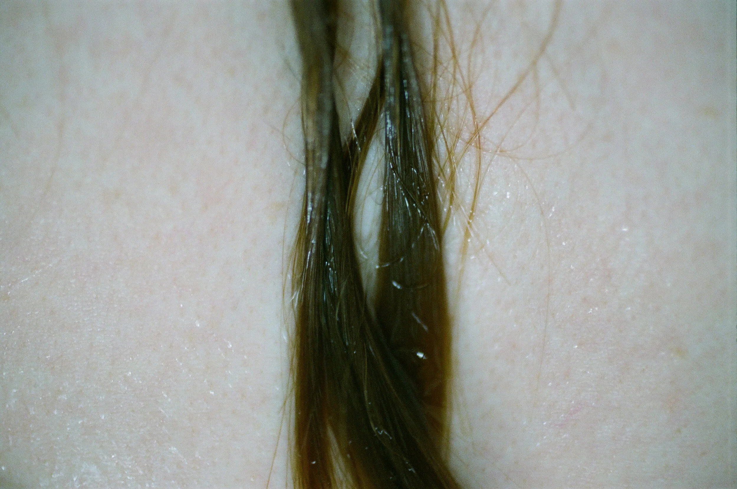 diary 2016 - 5 of 13.jpeg